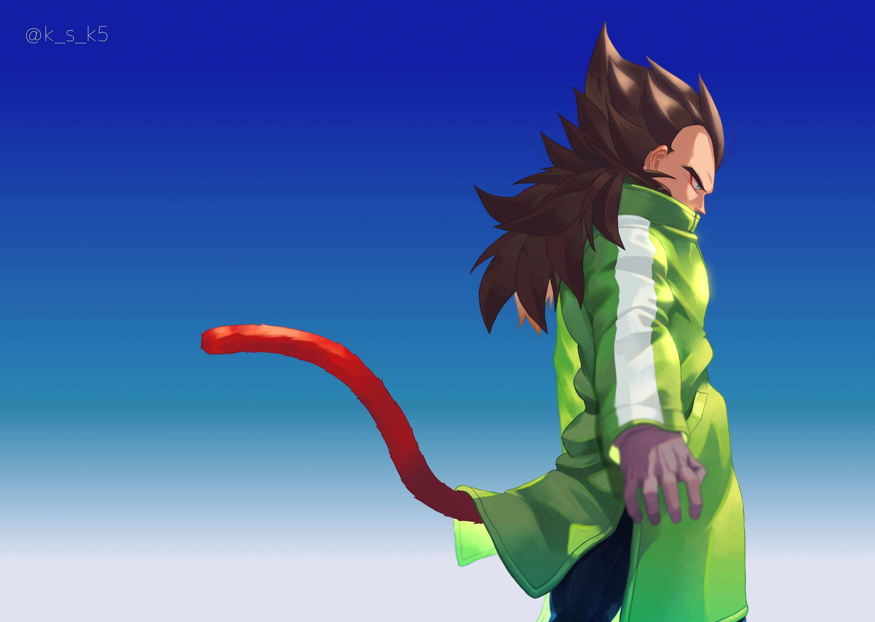 2850x2025 Gt Vegeta HD Wallpaper