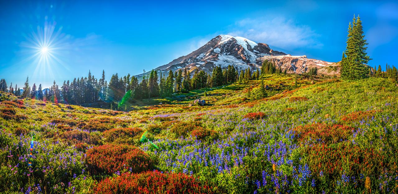 1280x623 Desktop Wallpaper Washington USA panoramic Mount Rainier National