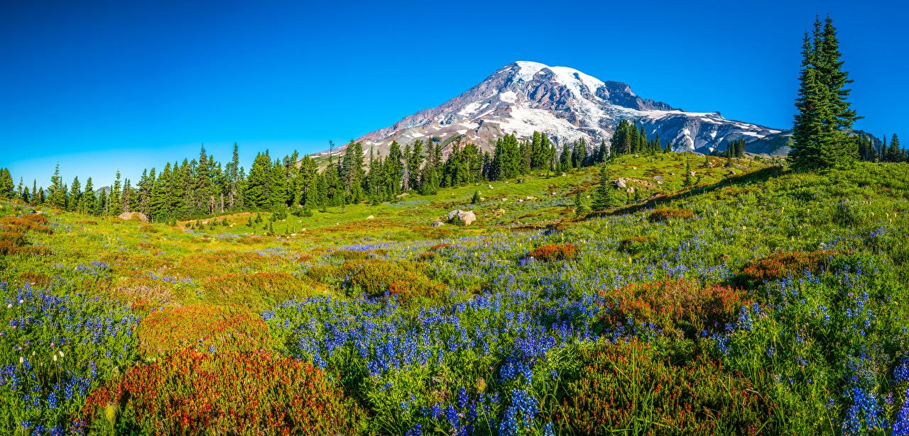 1280x615 Desktop Wallpaper Washington USA panoramic Mount Rainier National