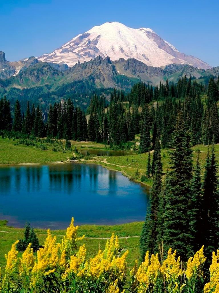 768x1024 Mount Rainier Washington State desktop PC and Mac wallpaper