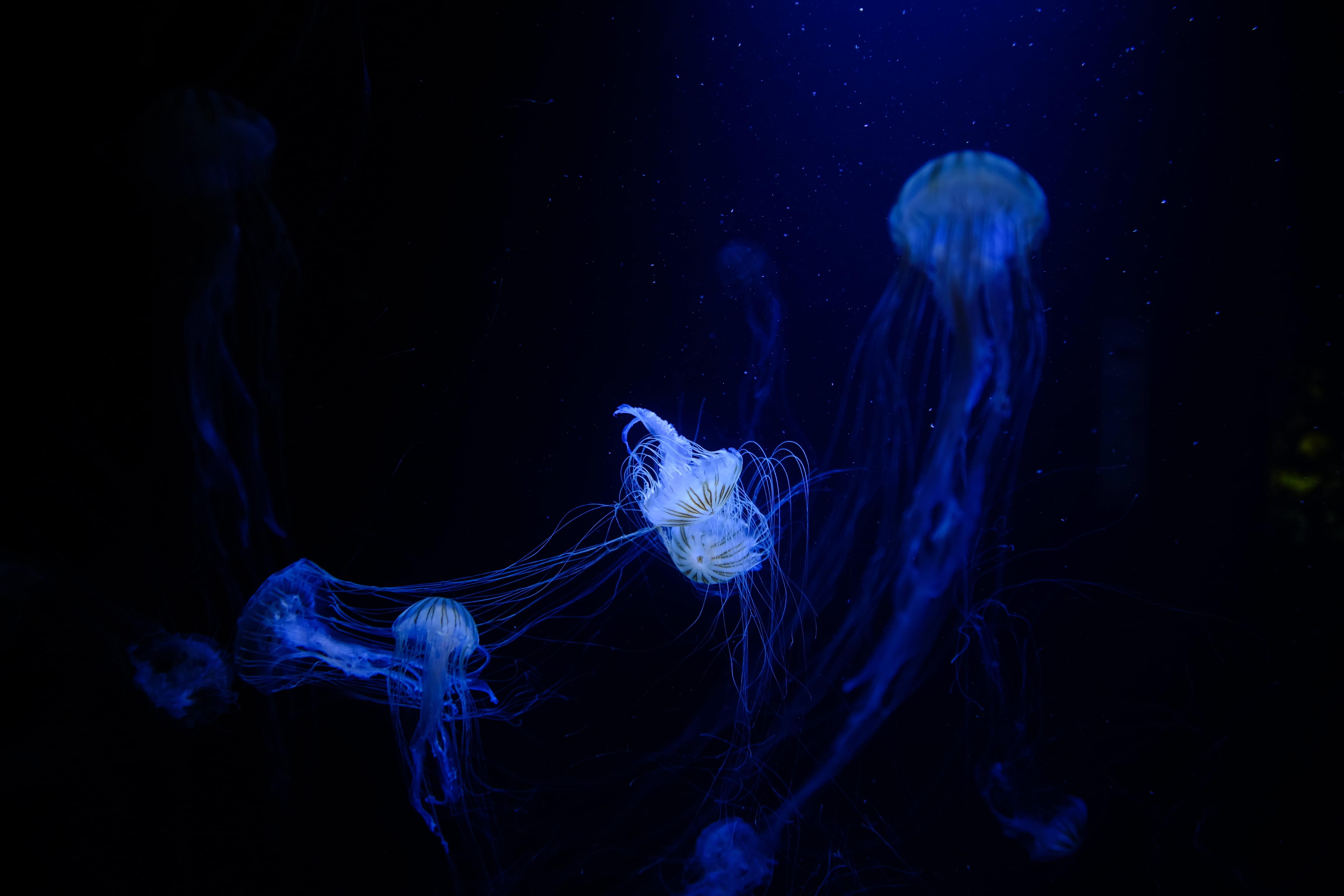 4896x3264 Blue Dark Ocean Aesthetic