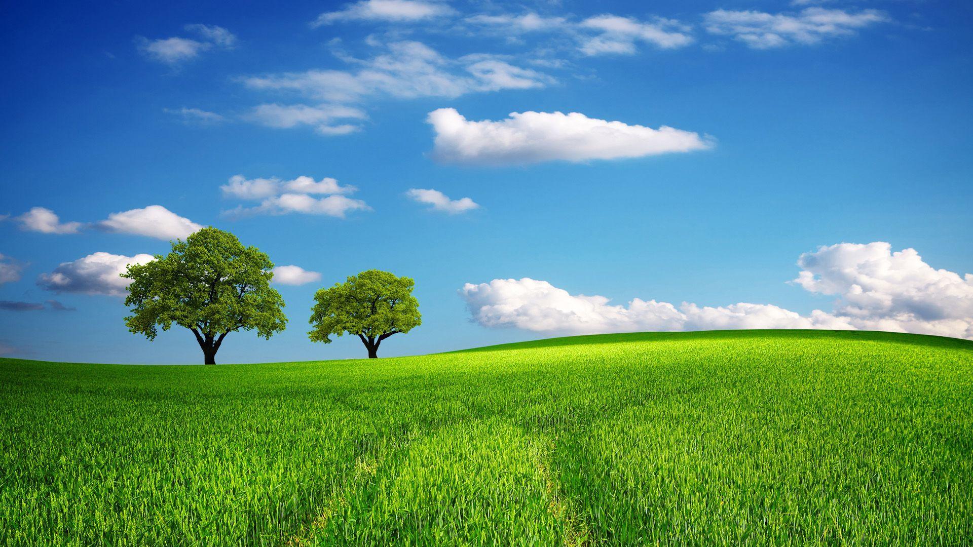 1920x1080 Green Field Wallpaper