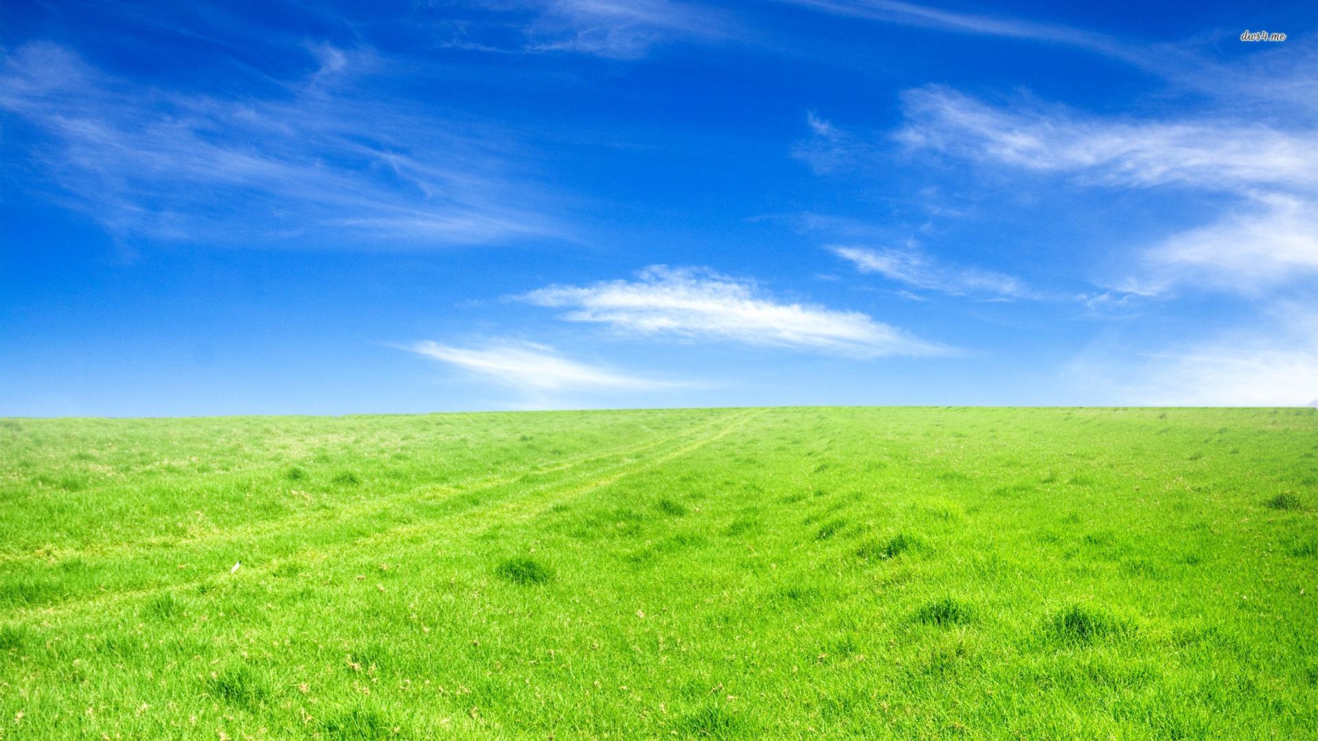 1920x1080 Best Green Field Nature Background