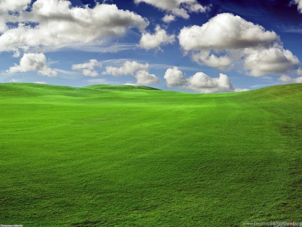 1024x768 Green Field Wallpaper Desktop Background
