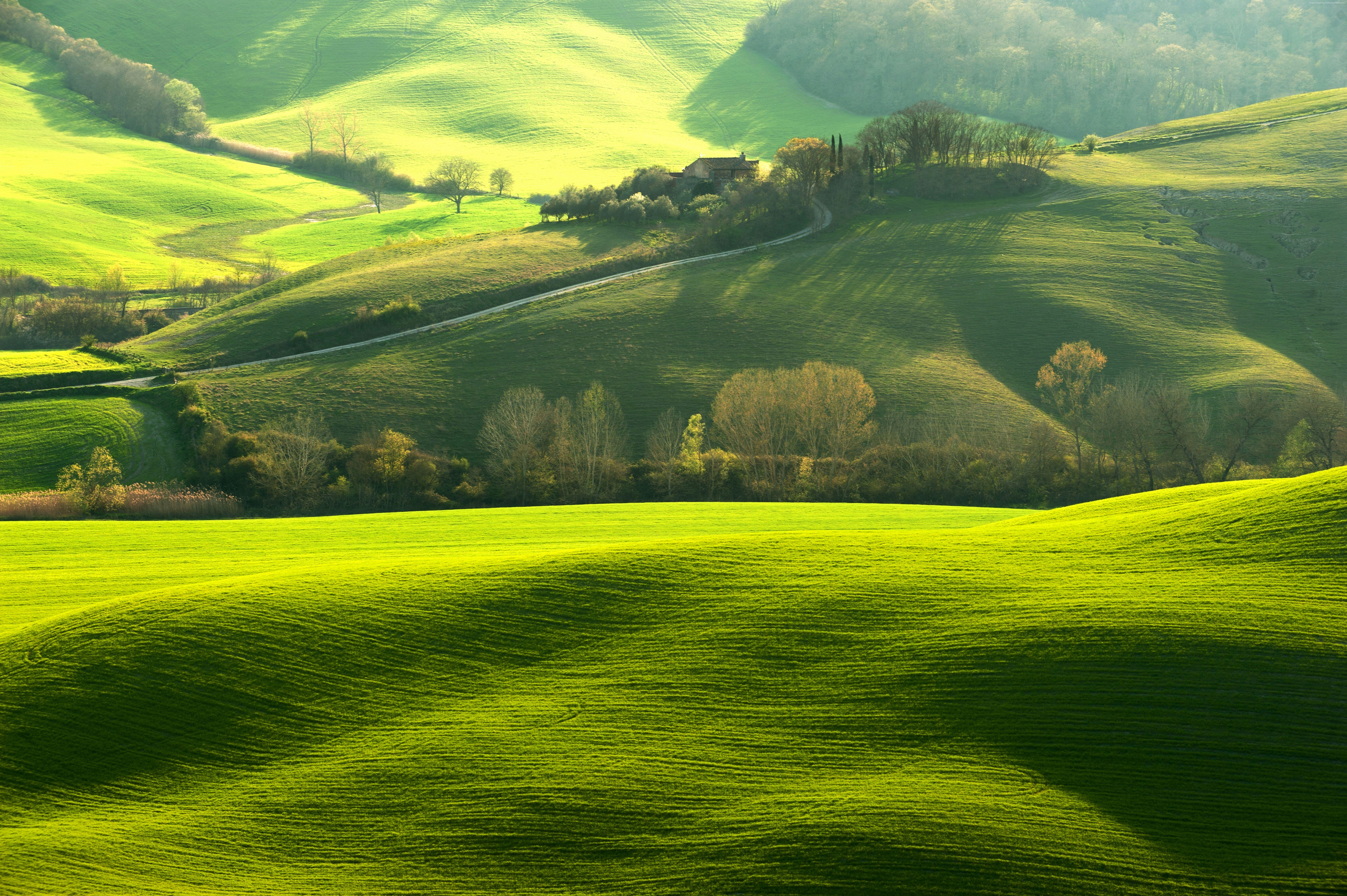 8512x5664 Green field 8512x5664: wallpaper