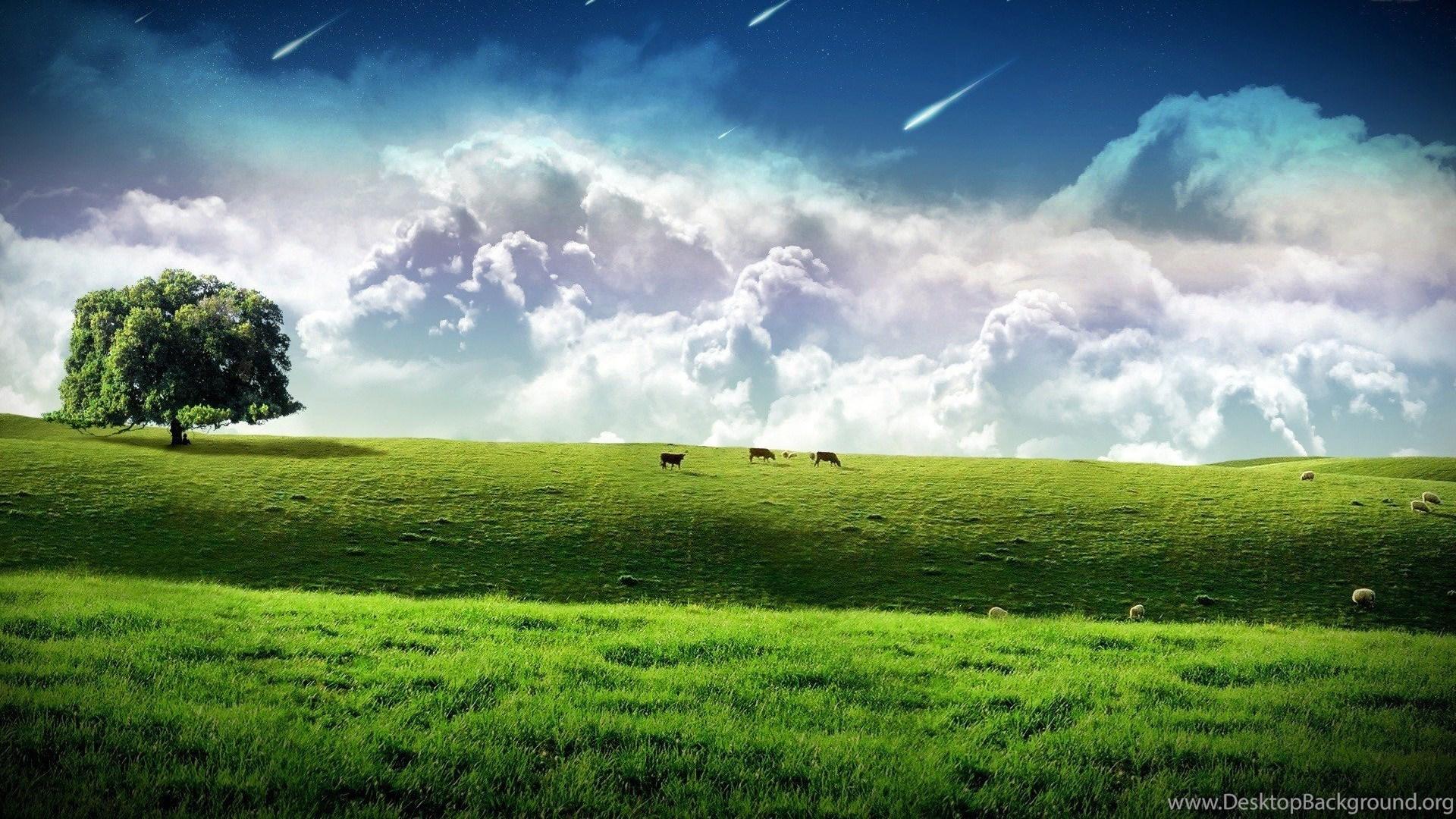 1920x1080 Green Field Wallpaper Fantasy Wallpaper Desktop Background