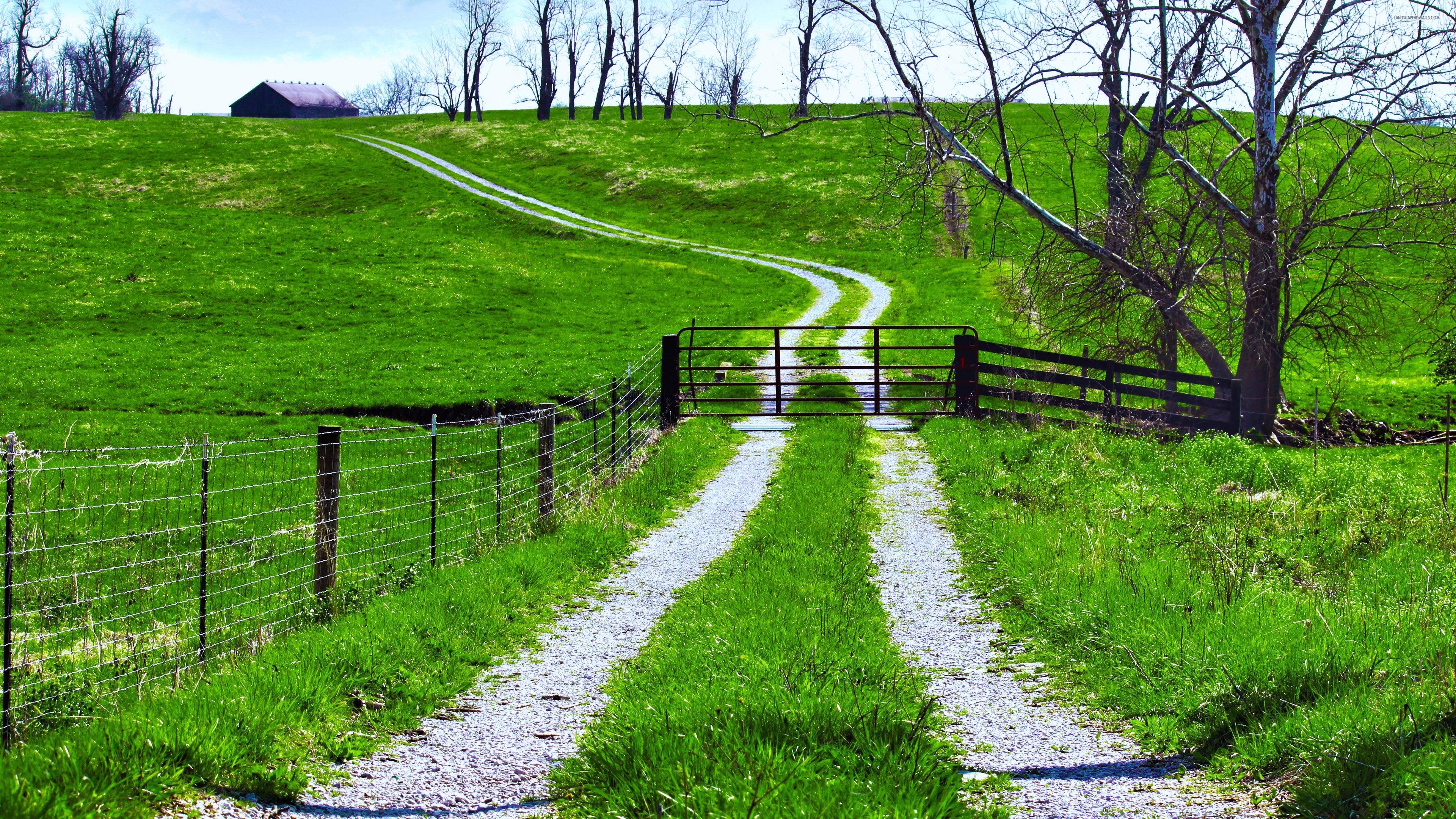 3840x2160 Road In Green Field