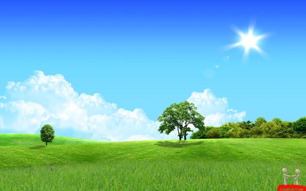 1280x800 Free download Sun Star Shining On Green Field Wallpaper HD Wallpaper [1280x800] for your Desktop, Mobile & Tablet. Explore Sun Shining Wallpaper. The Shining Wallpaper Background, Jack Nicholson Shining Wallpaper