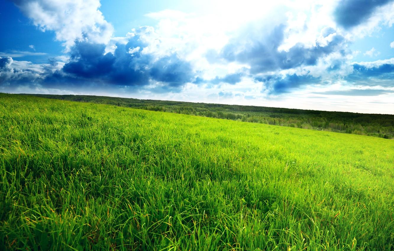 1332x850 Wallpaper field, grass, clouds, landscape, horizon, green, green field, dense, cloudy sky image for desktop, section пейзажи