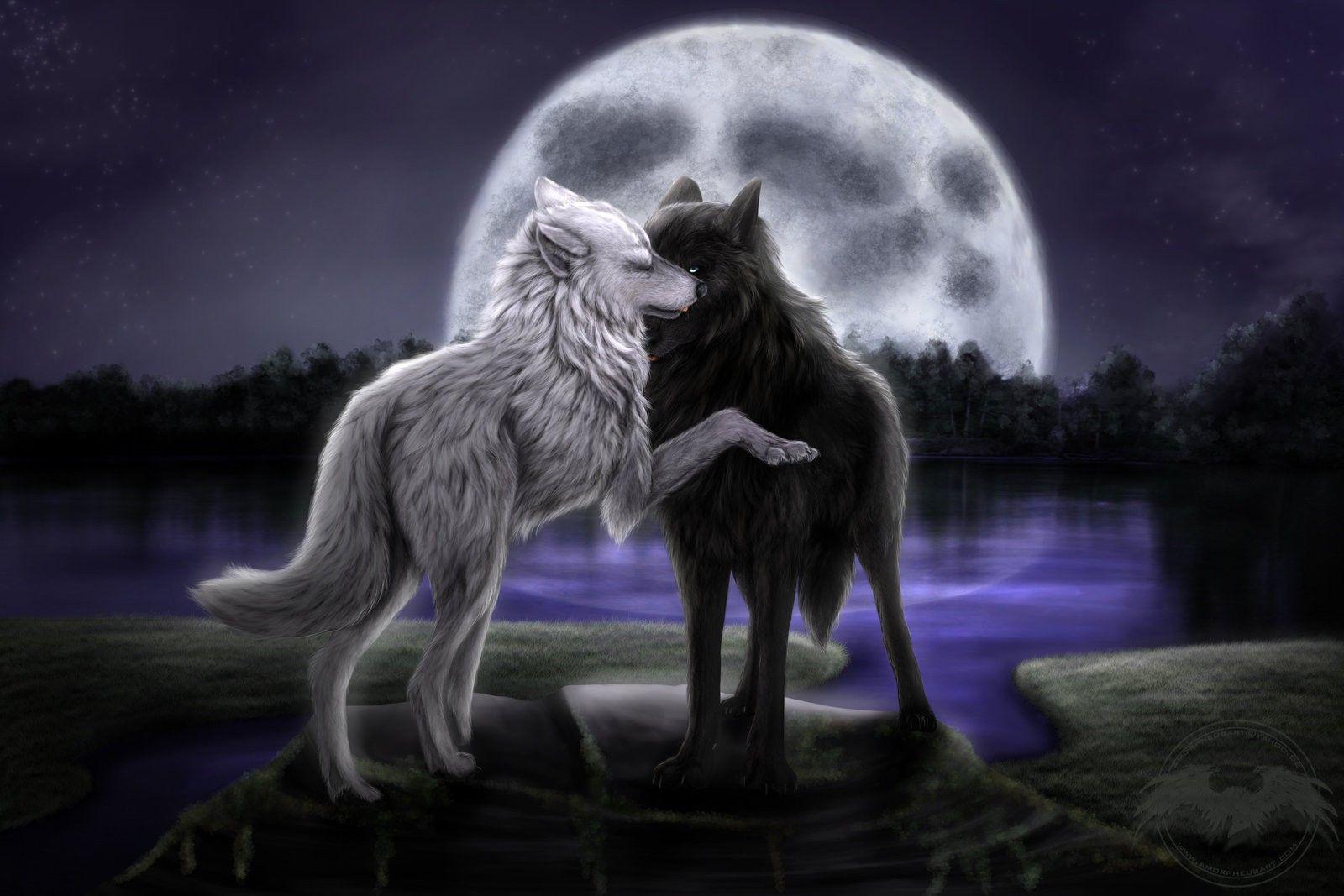 1600x1067 Anime Wolves Wallpaper