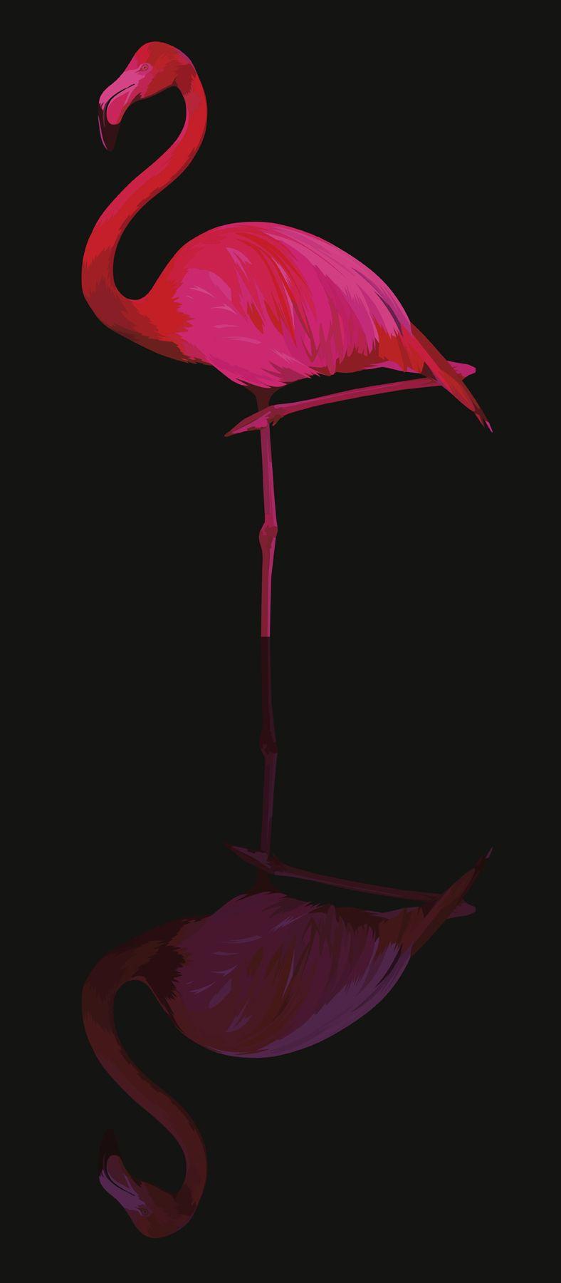 788x1800 Designs for Apparel. Flamingo illustration, Pink wallpaper iphone, Flamingo wallpaper