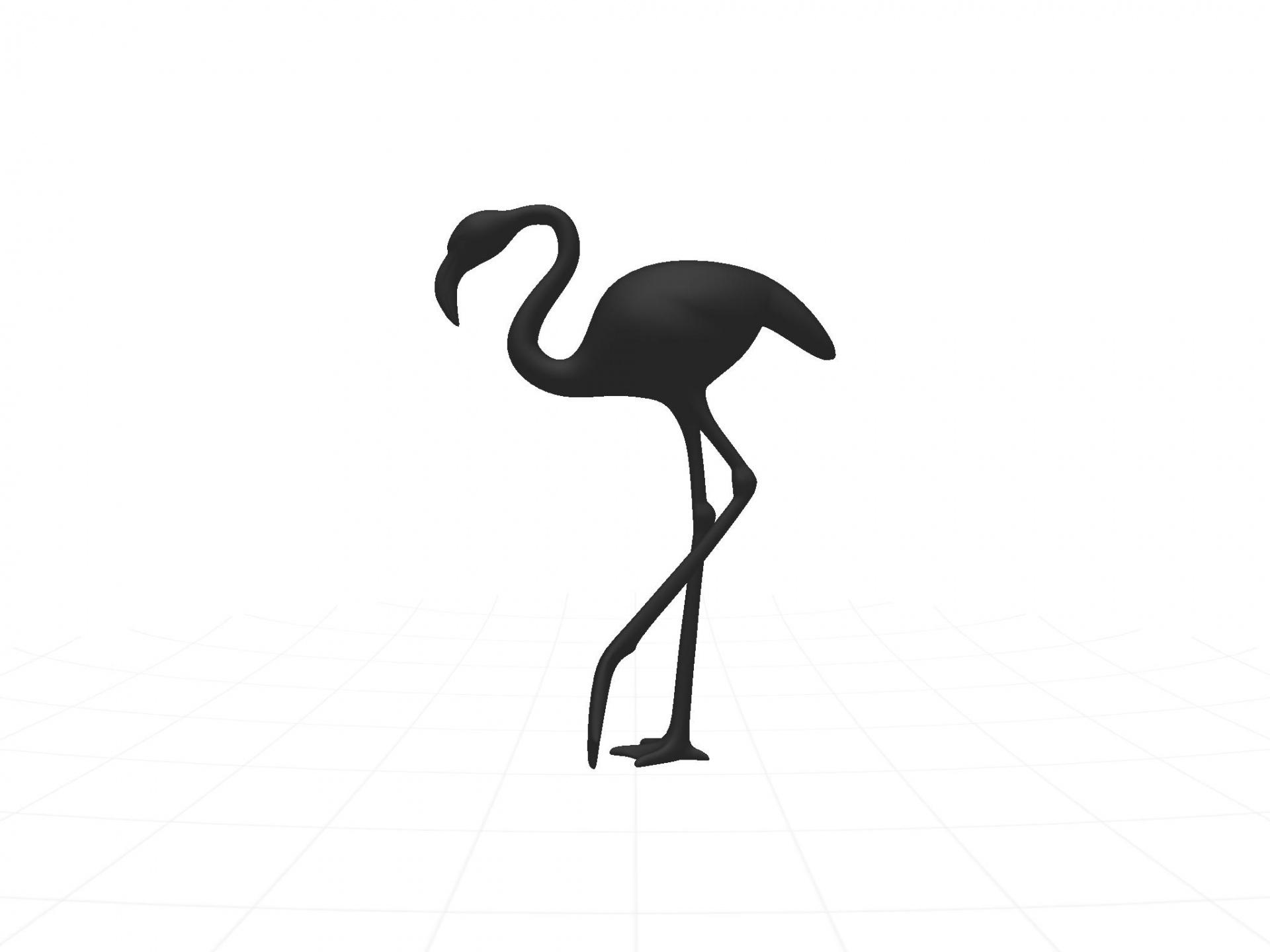 1920x1440 Black Flamingo Free Domain Picture