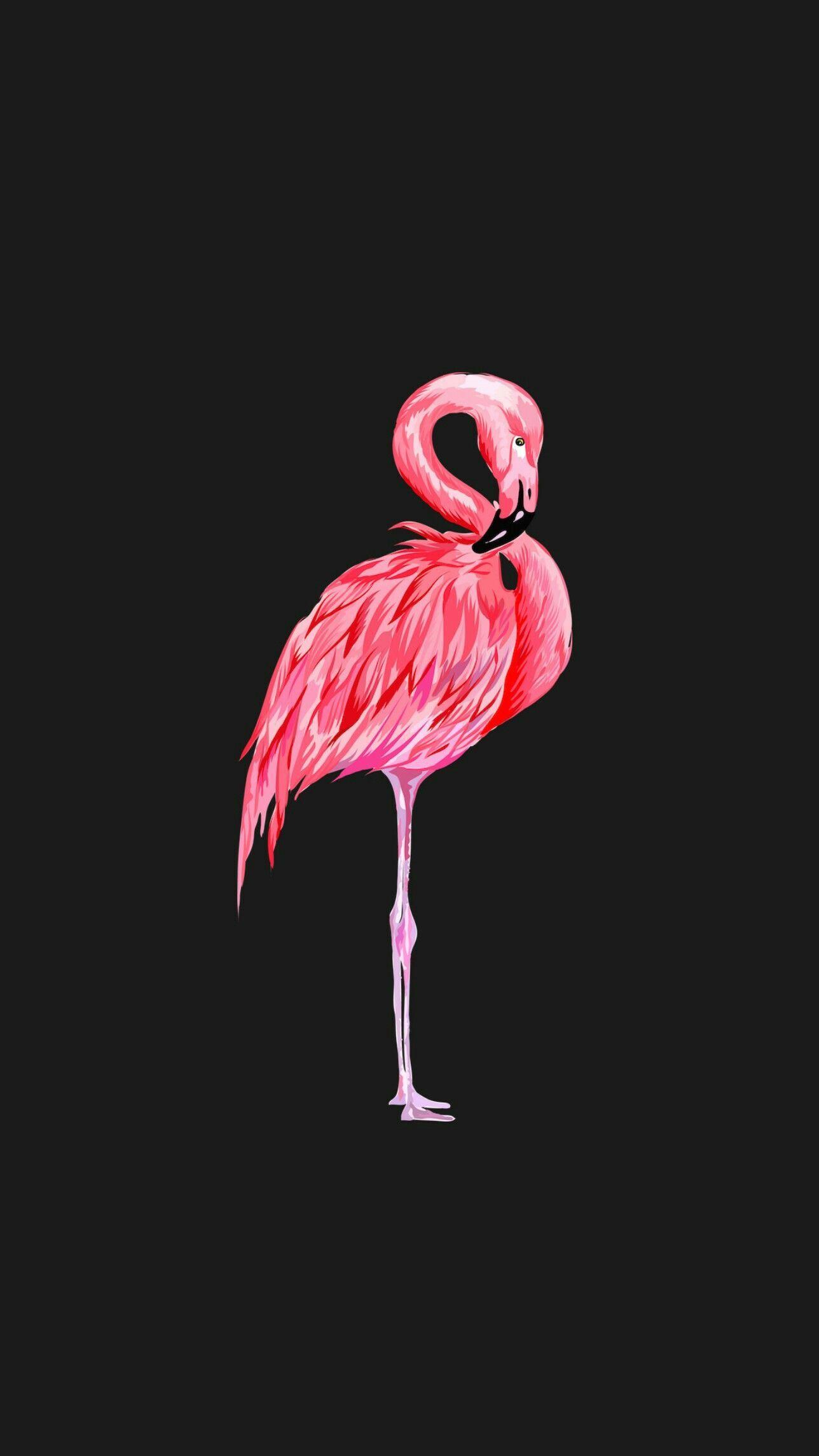 1288x2289 iPhone wallpaper ideas. iphone wallpaper, wallpaper, cute wallpaper