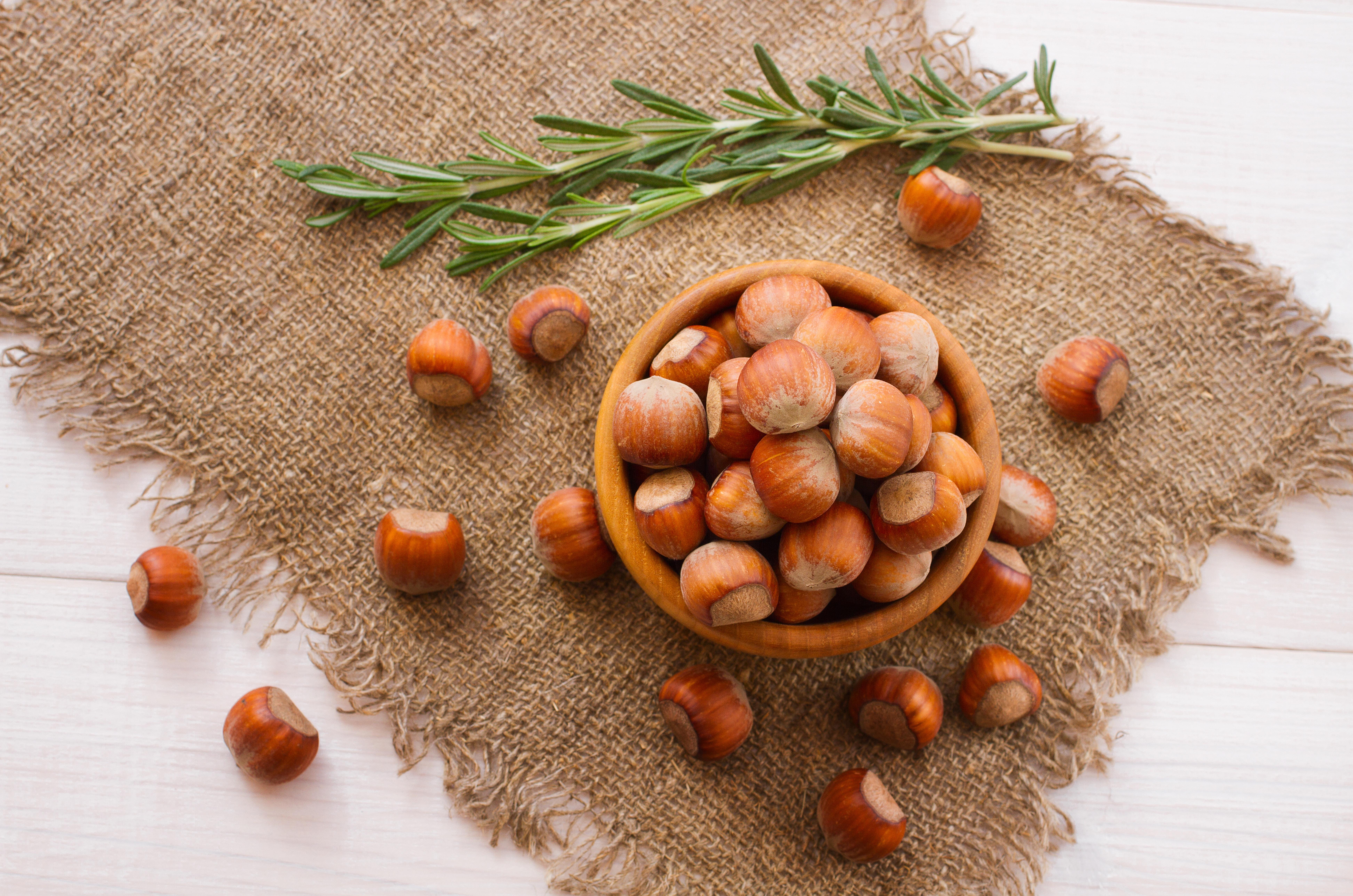 7776x5152 Hazelnut 8k Ultra HD Wallpaper