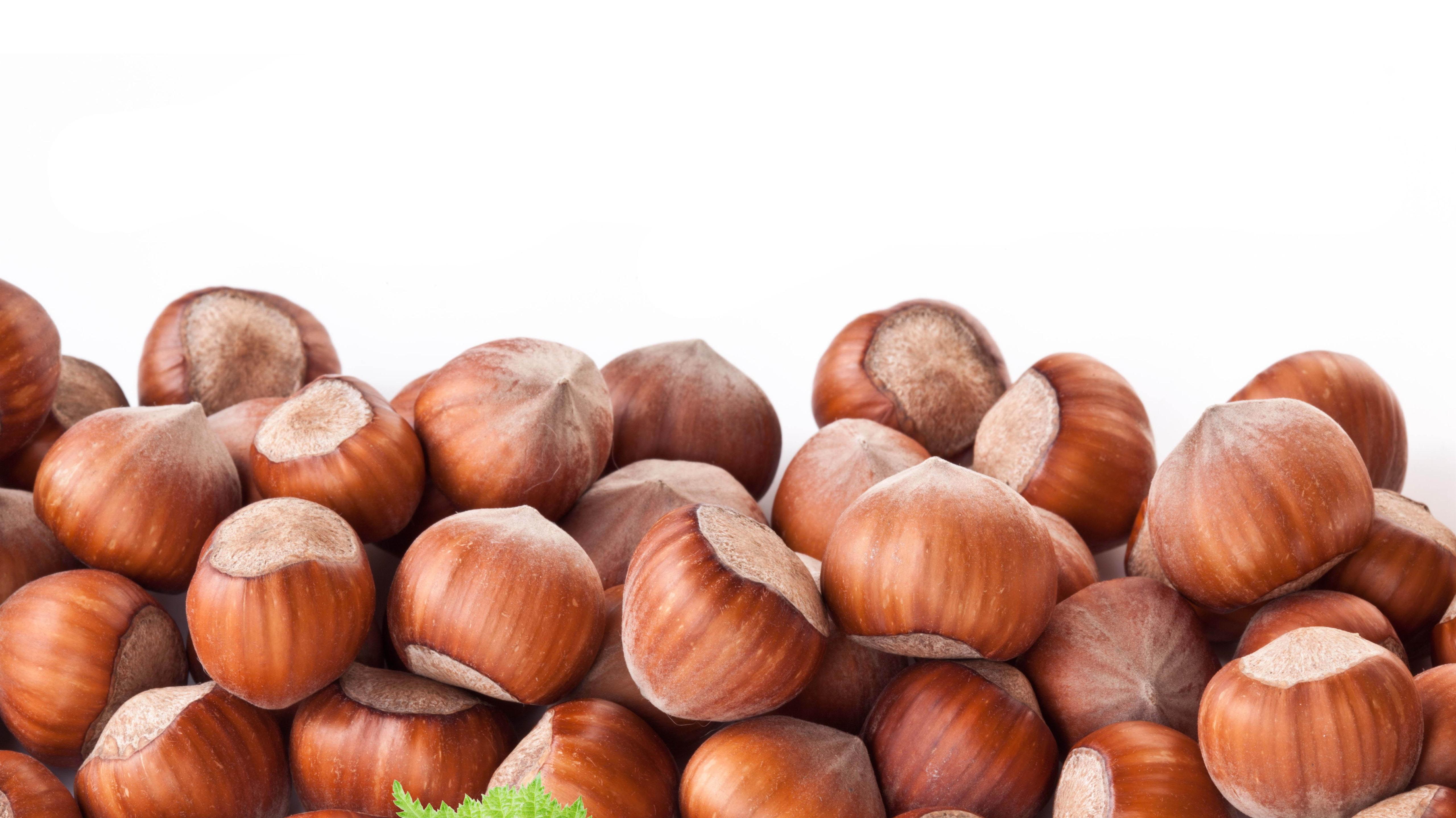 Hazelnut Wallpapers - Top Free Hazelnut Backgrounds - WallpaperAccess
