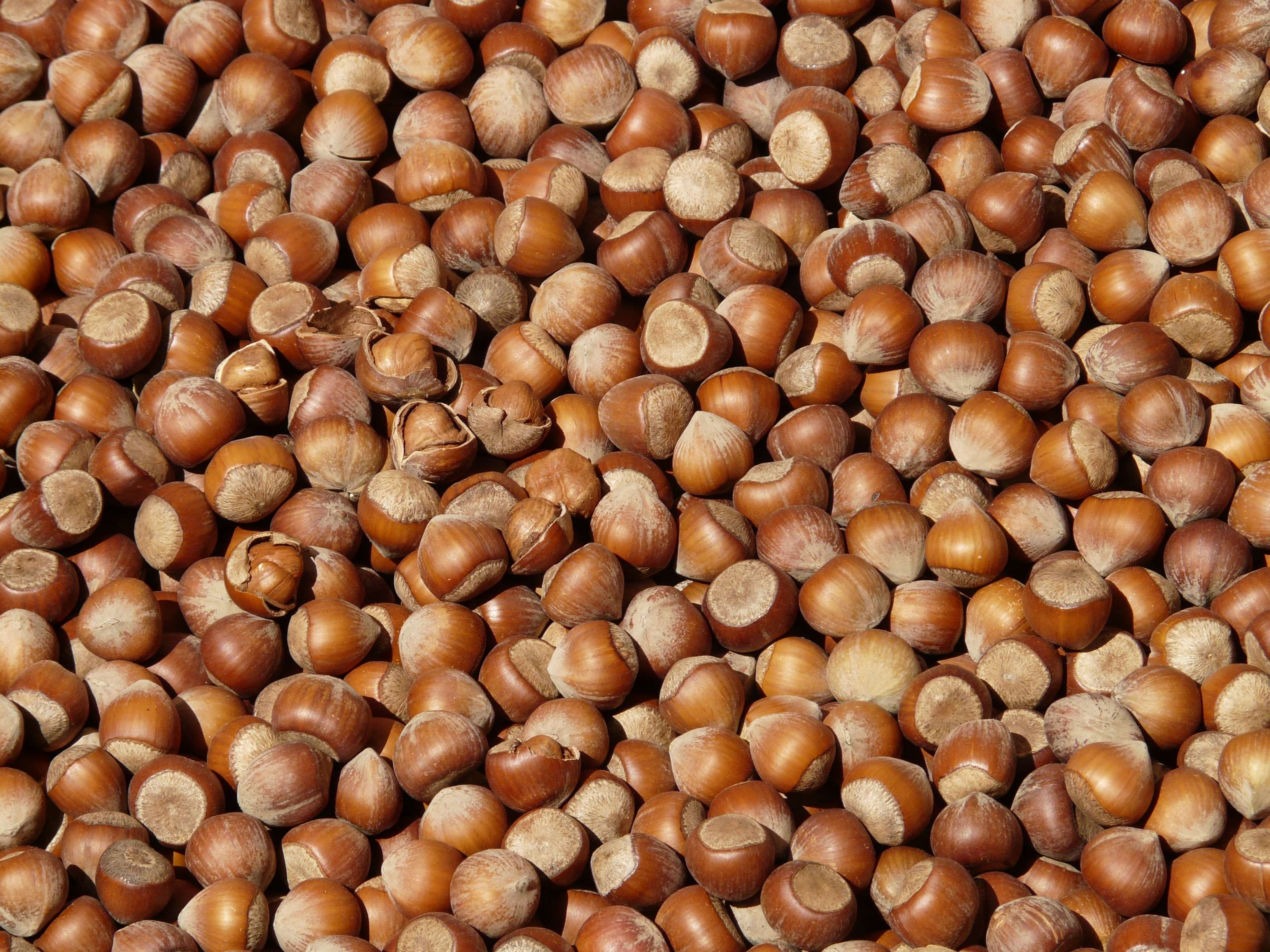 3264x2448 brown, hazelnuts, market, nuts, open, royalty free, shells wallpaper