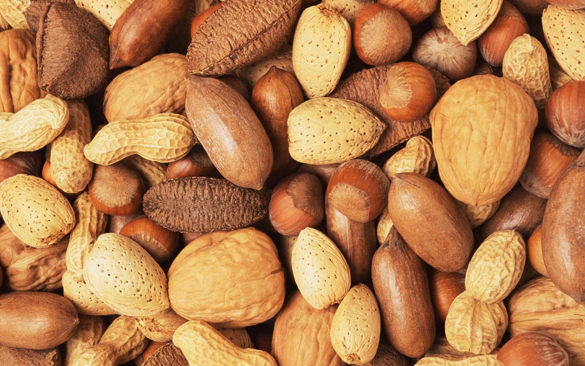 1920x1200 hazelnut HD wallpaper, background