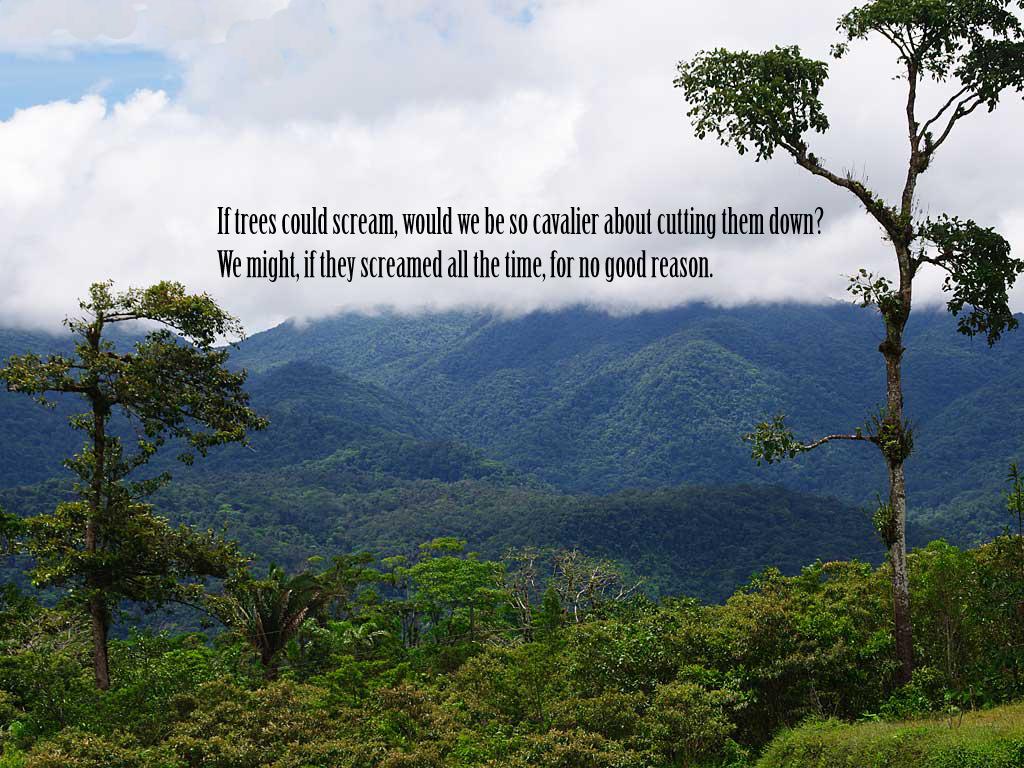 1024x768 Nature Wallpaper Spiritual Quotes. QuotesGram