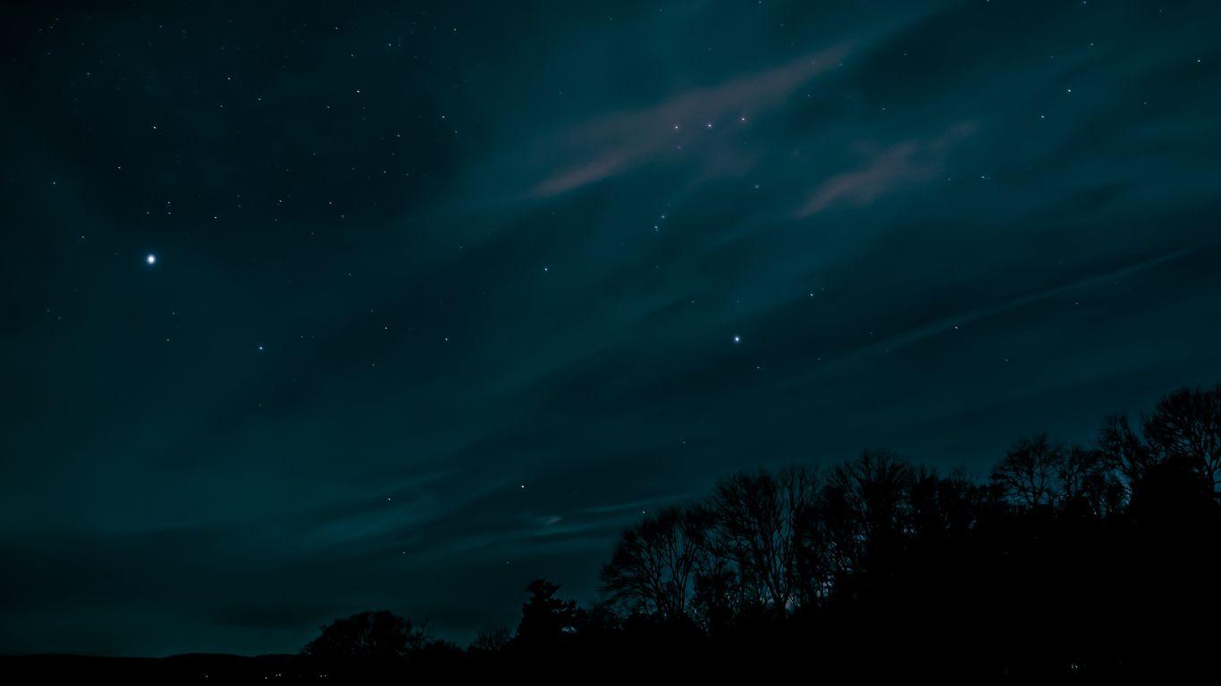 1366x768 Download wallpaper 1366x768 night, sky, stars, trees tablet, laptop HD background