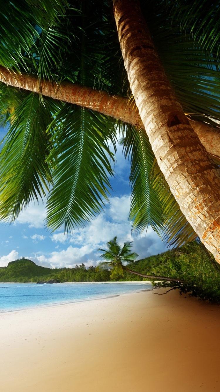 Tropical Island Mobile Wallpapers - Top Free Tropical Island Mobile