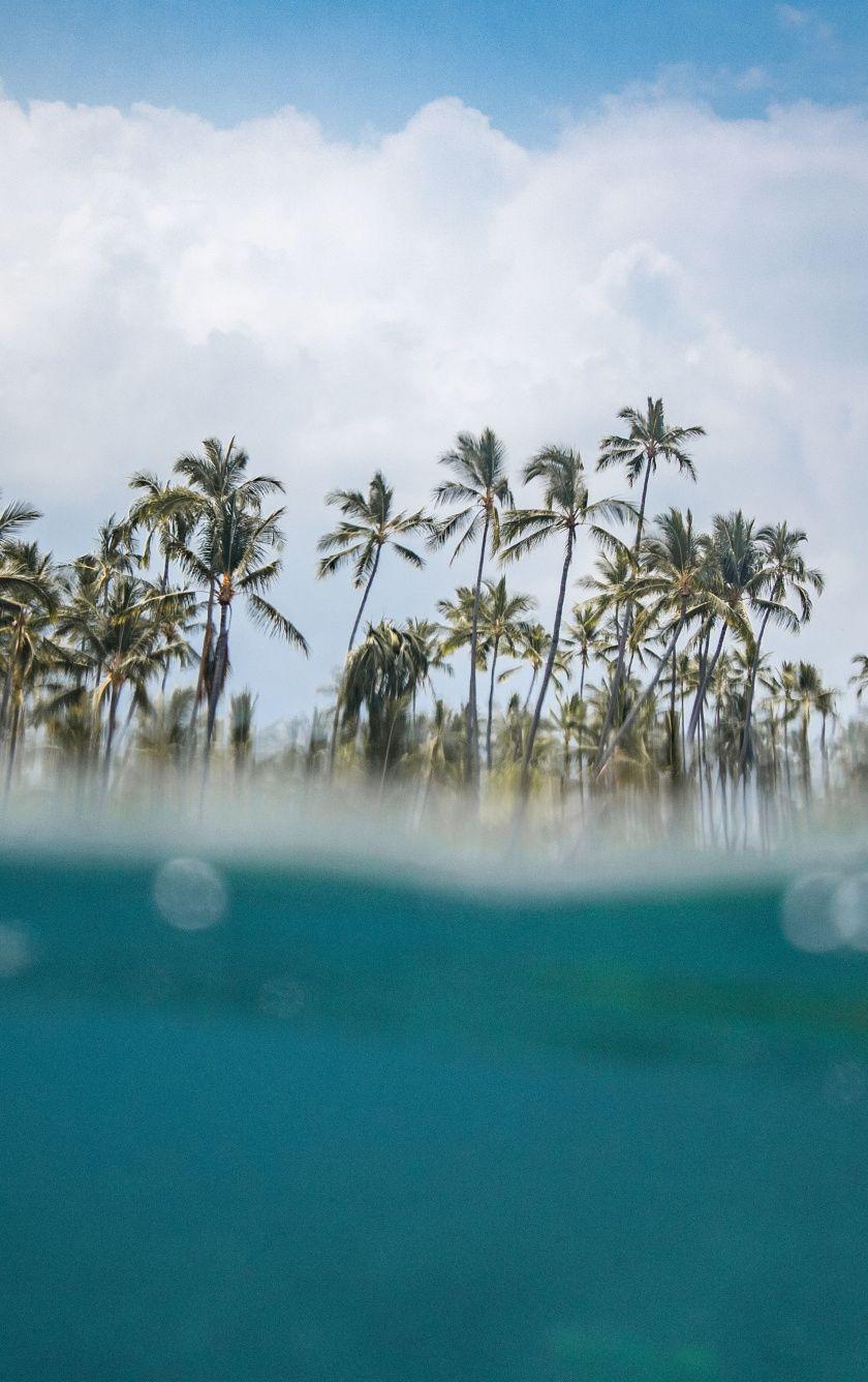 840x1336 Download 840x1336 wallpaper hawaii, beach, sea wave, palm trees