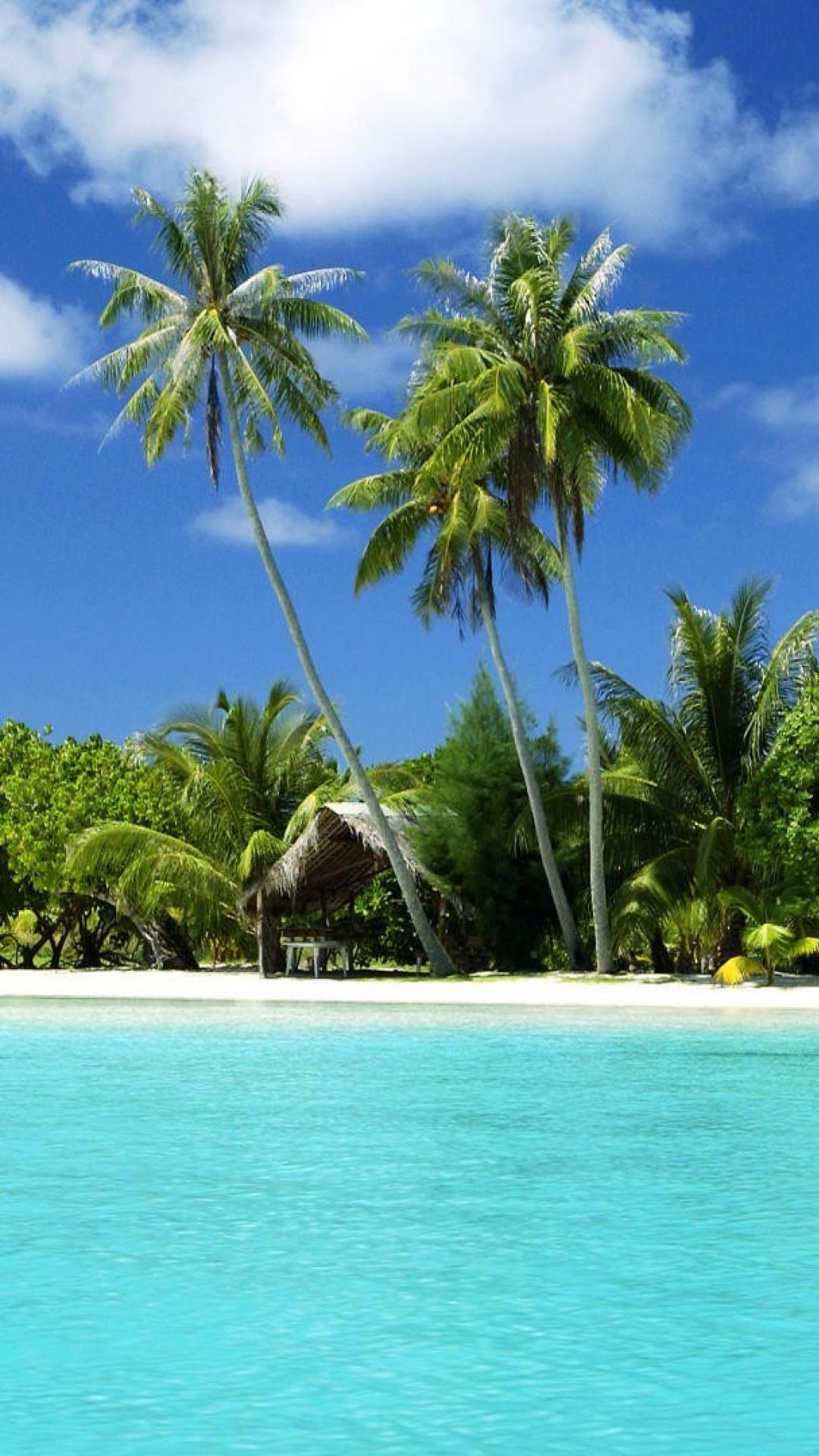 Tropical Island Mobile Wallpapers - Top Free Tropical Island Mobile