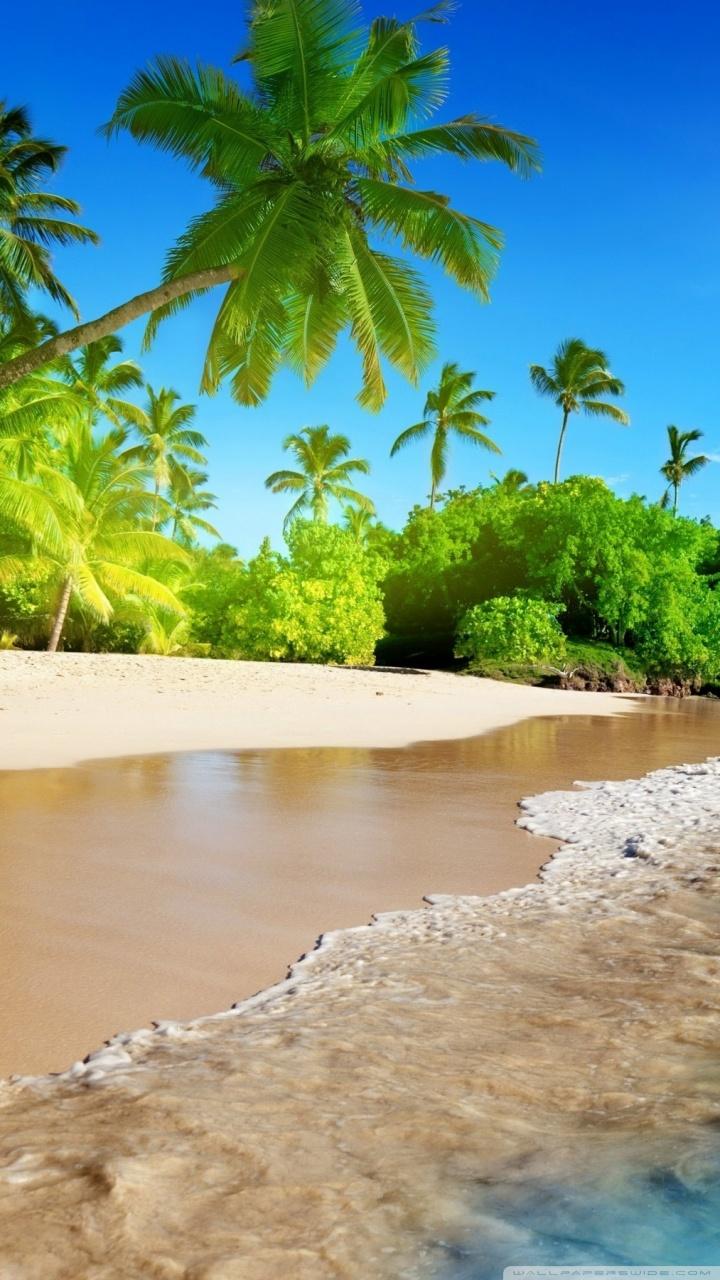 720x1280 Beach, Tropical Island Ultra HD Desktop Background Wallpaper for 4K UHD TV : Multi Display, Dual Monitor : Tablet