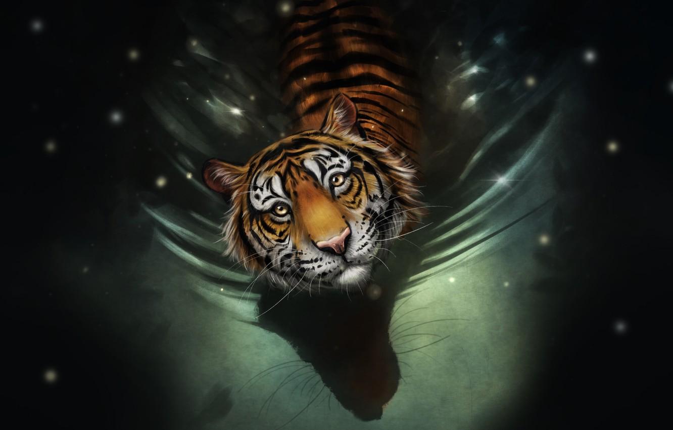 1332x850 Wallpaper Water, Figure, Look, Cat, Tiger, Face, Art, Tiger, Water, Cat, Striped, by Bianka Faragó, Bianka Faragó, A wet cat image for desktop, section арт