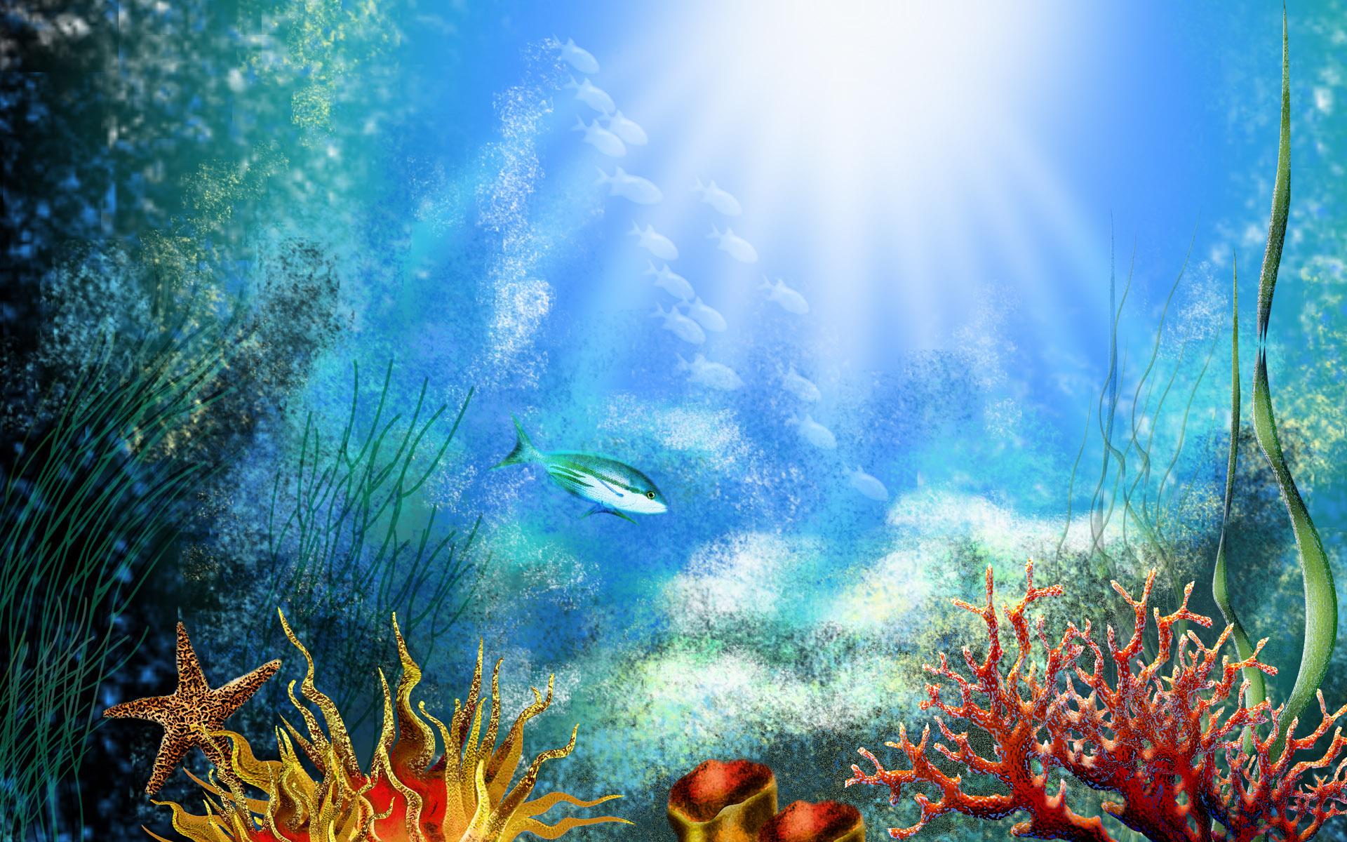 1920x1200 Underwater wallpaperx1200