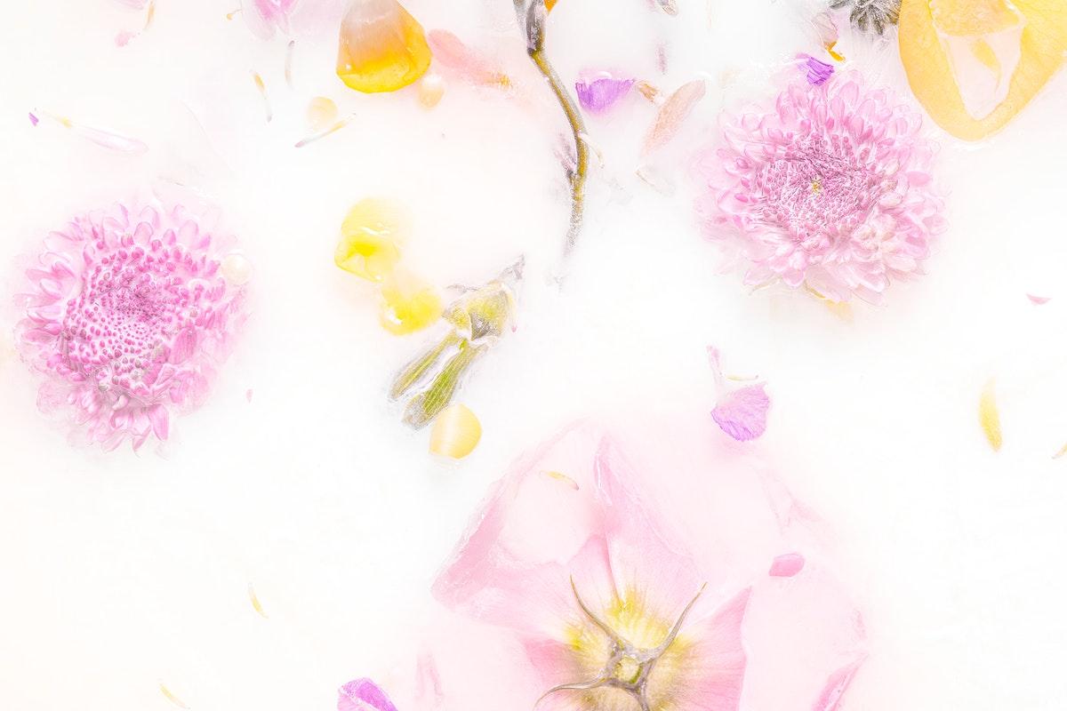 1200x800 Mums flowers in a milk