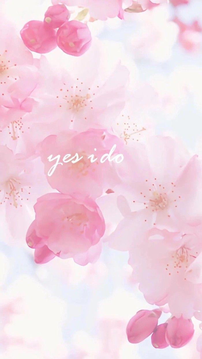 700x1244 Anime Wallpaper. Flower background wallpaper, Pink flowers wallpaper, Flowery wallpaper