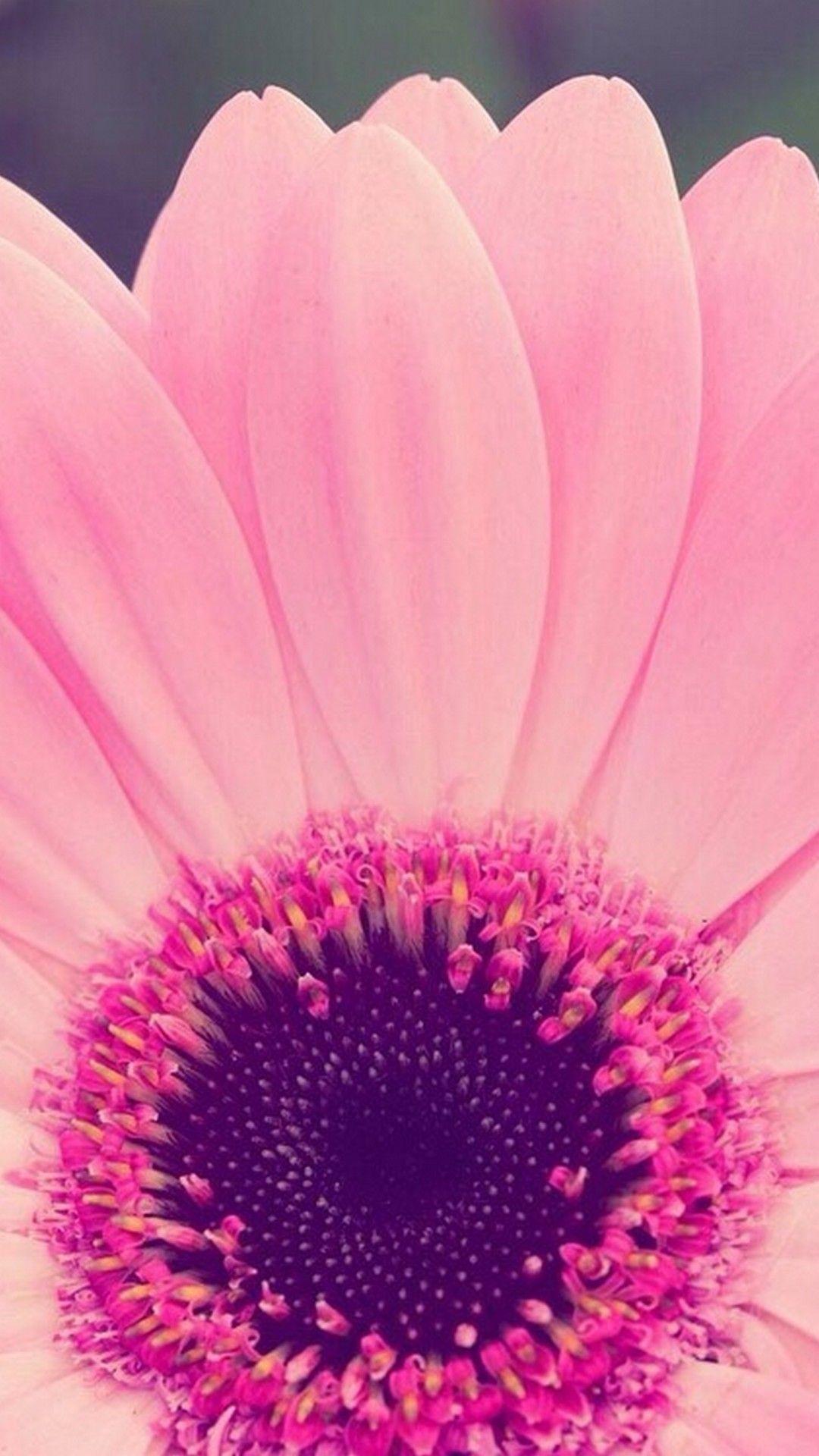 1080x1920 Cute Girly Flower Wallpaper