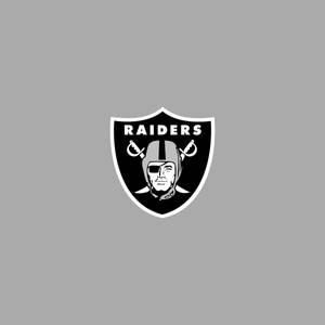 300x300 Raiders Wallpaper & Background For FREE