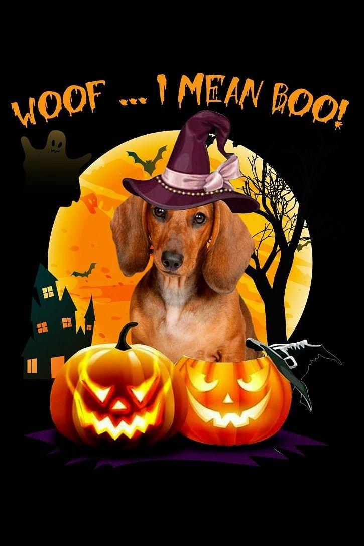 725x1087 Halloween. Dog halloween, Dachshund quotes, Dachshund art
