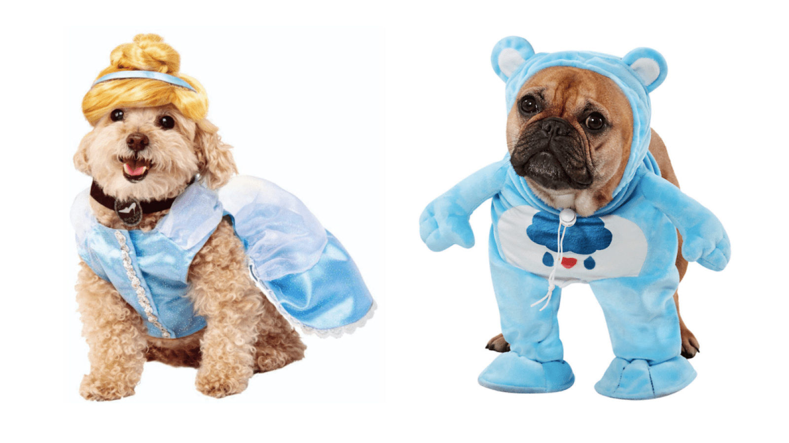 1600x900 Ridiculously Cute Dog Halloween Costumes