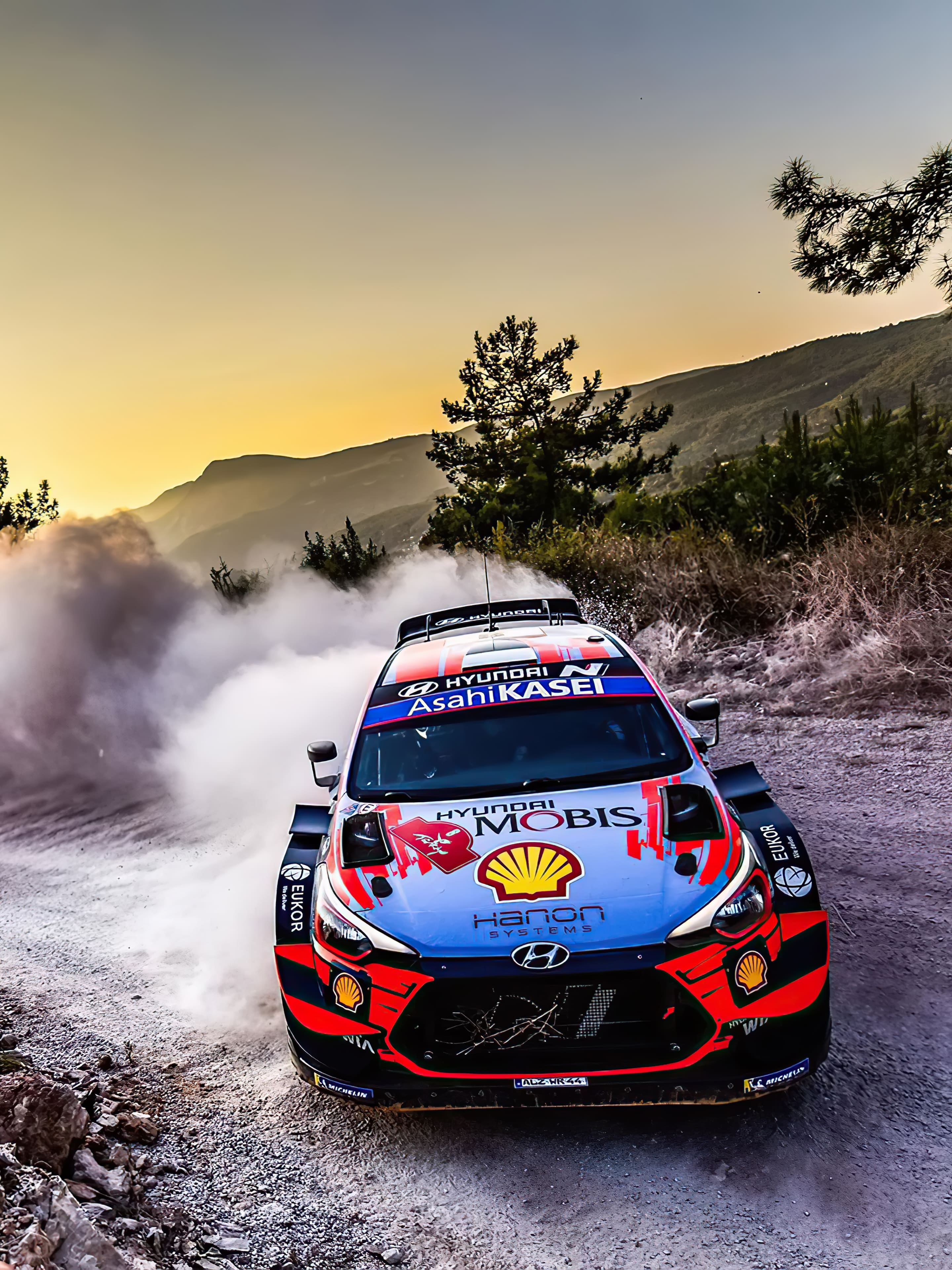 2880x3840 Hyundai i20 WRC wallpaper