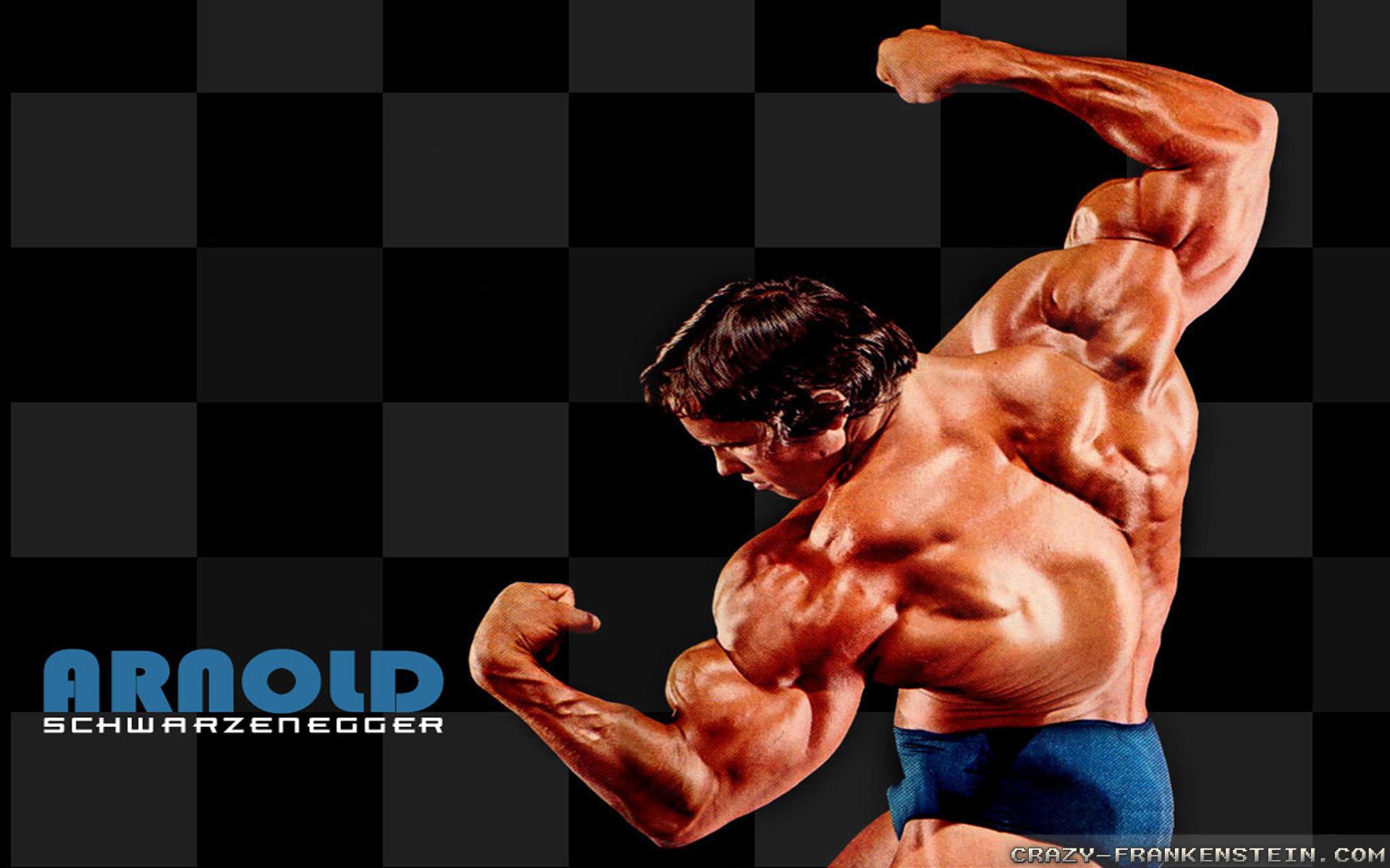 1920x1200 arnold conquer wallpaper, bodybuilding, bodybuilder, muscle, arm, physical fitness