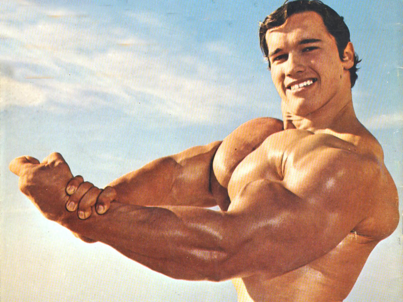 1600x1200 Valentine Day 2014: Arnold Schwarzenegger Conquer Wallpaper HD
