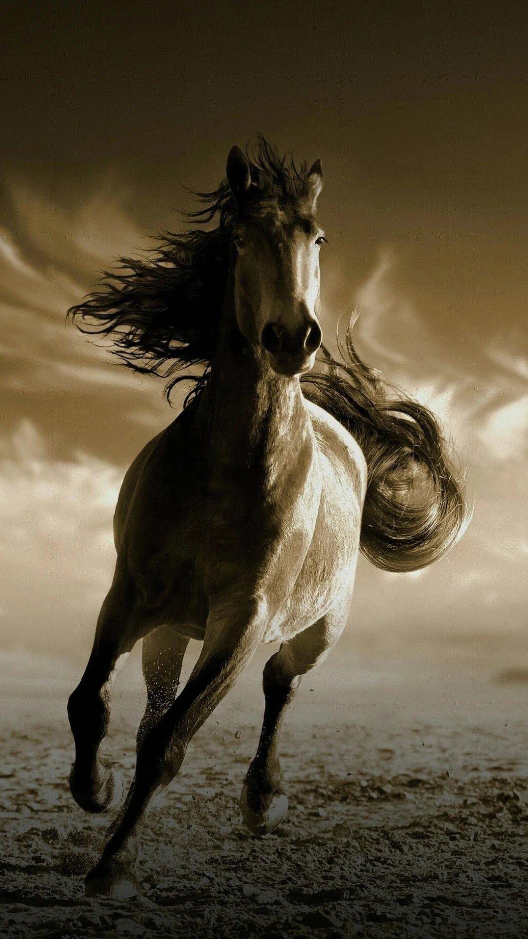 1060x1884 Running Horse HD Wallpaper For Mobile HD Wallpaper
