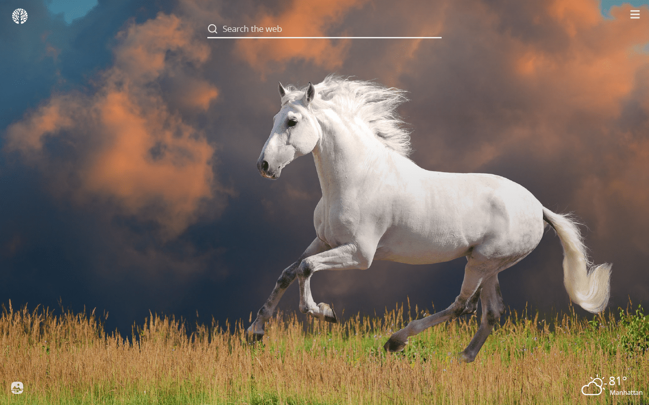 1280x800 White Horses HD Wallpaper New Tab