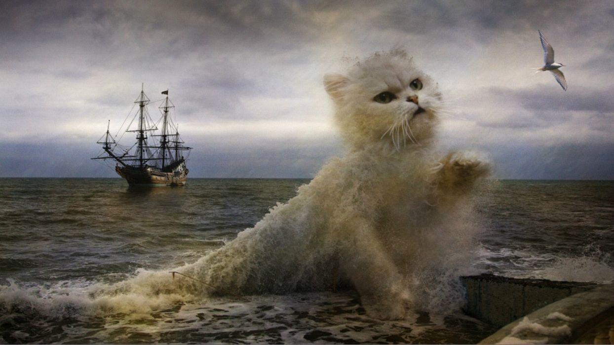 1244x700 Cats Waves Creative Fantasy Animals artwork painting photohop ocean sea digital art wallpaperx1080