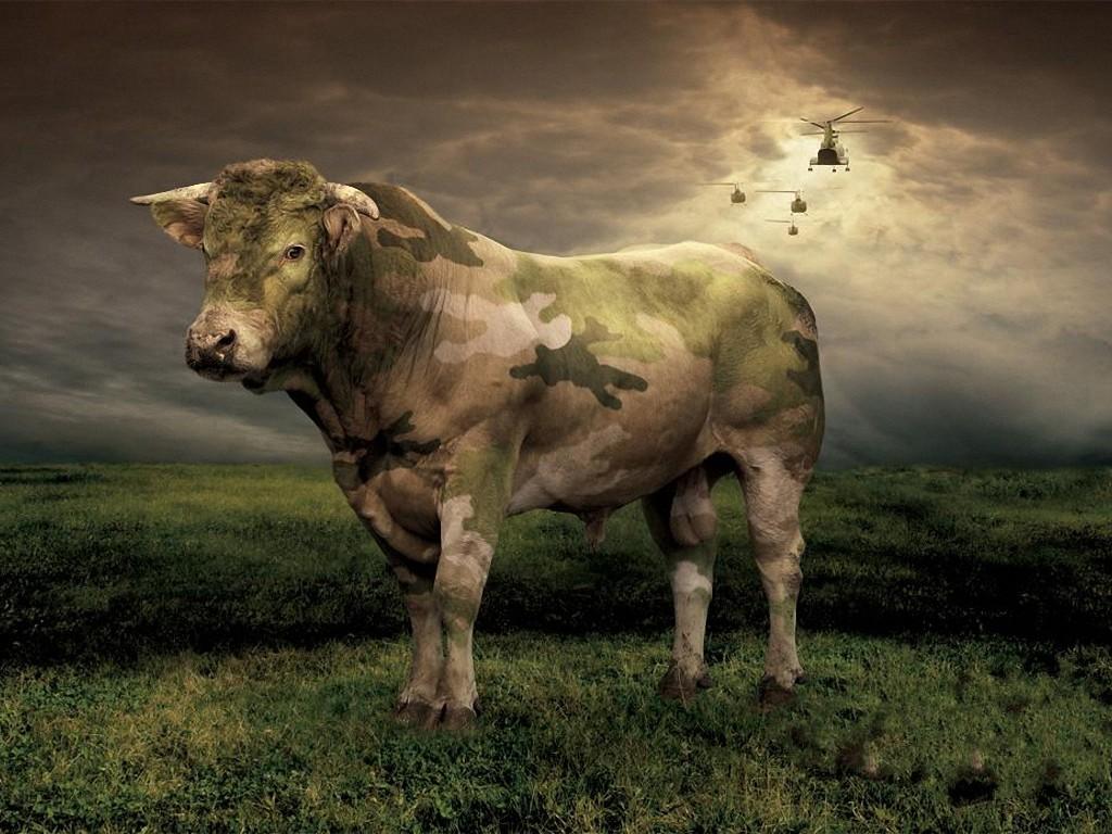 1024x768 Wallpaper Collections: Creative Animal Digital Art Wallpaper