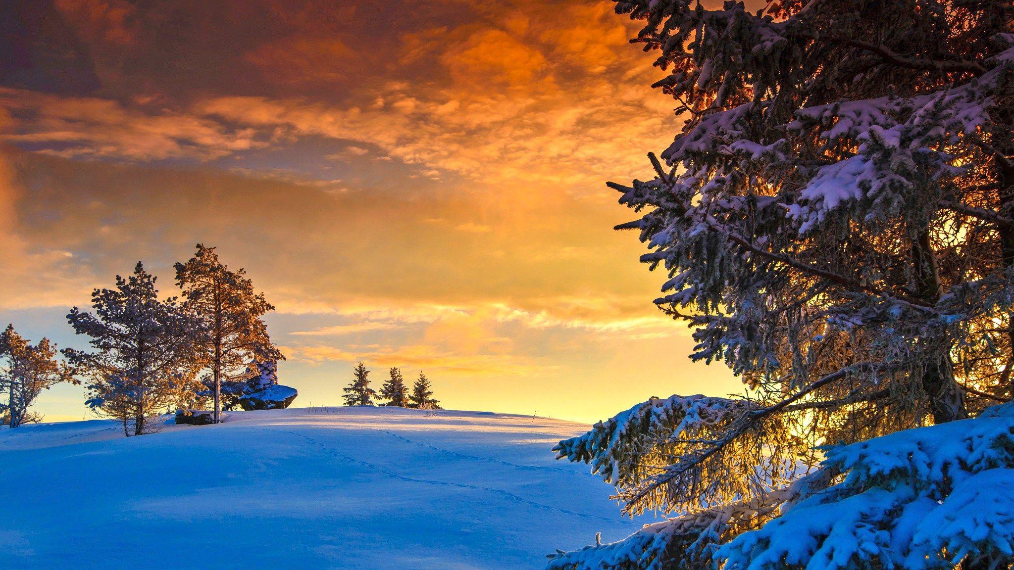 2048x1152 free desktop wallpaper downloads winter. Sunset, Free desktop wallpaper, Winter sunrise