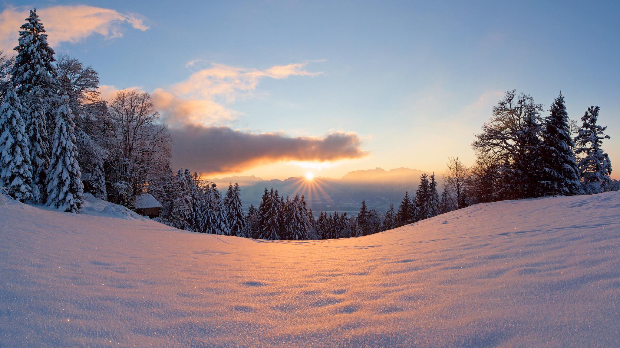 2048x1152 Winter snow light trees sun forest wallpaperx1152
