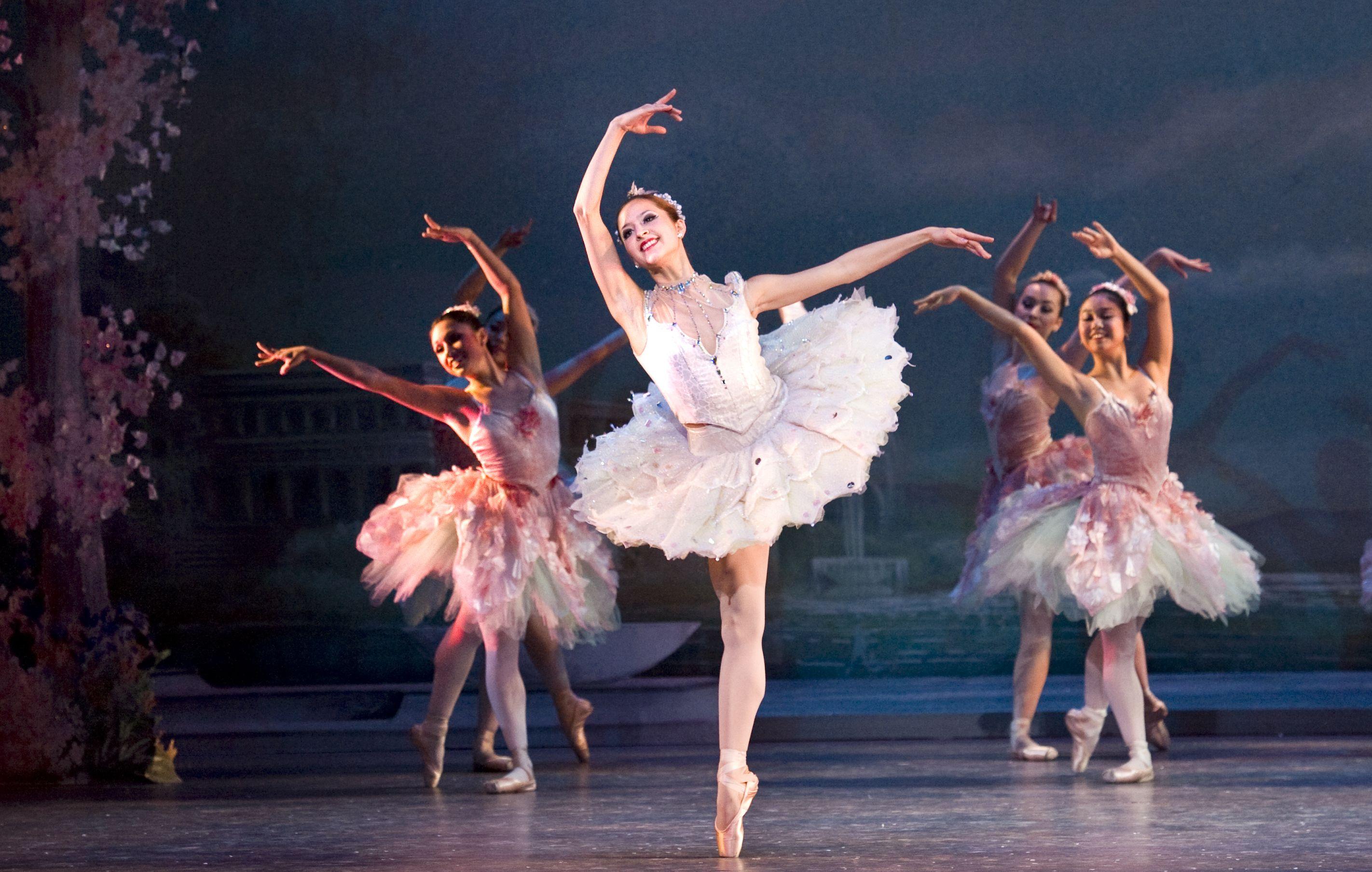 2844x1807 Gorgeous Photo of 'The Nutcracker' Performances From Around the World