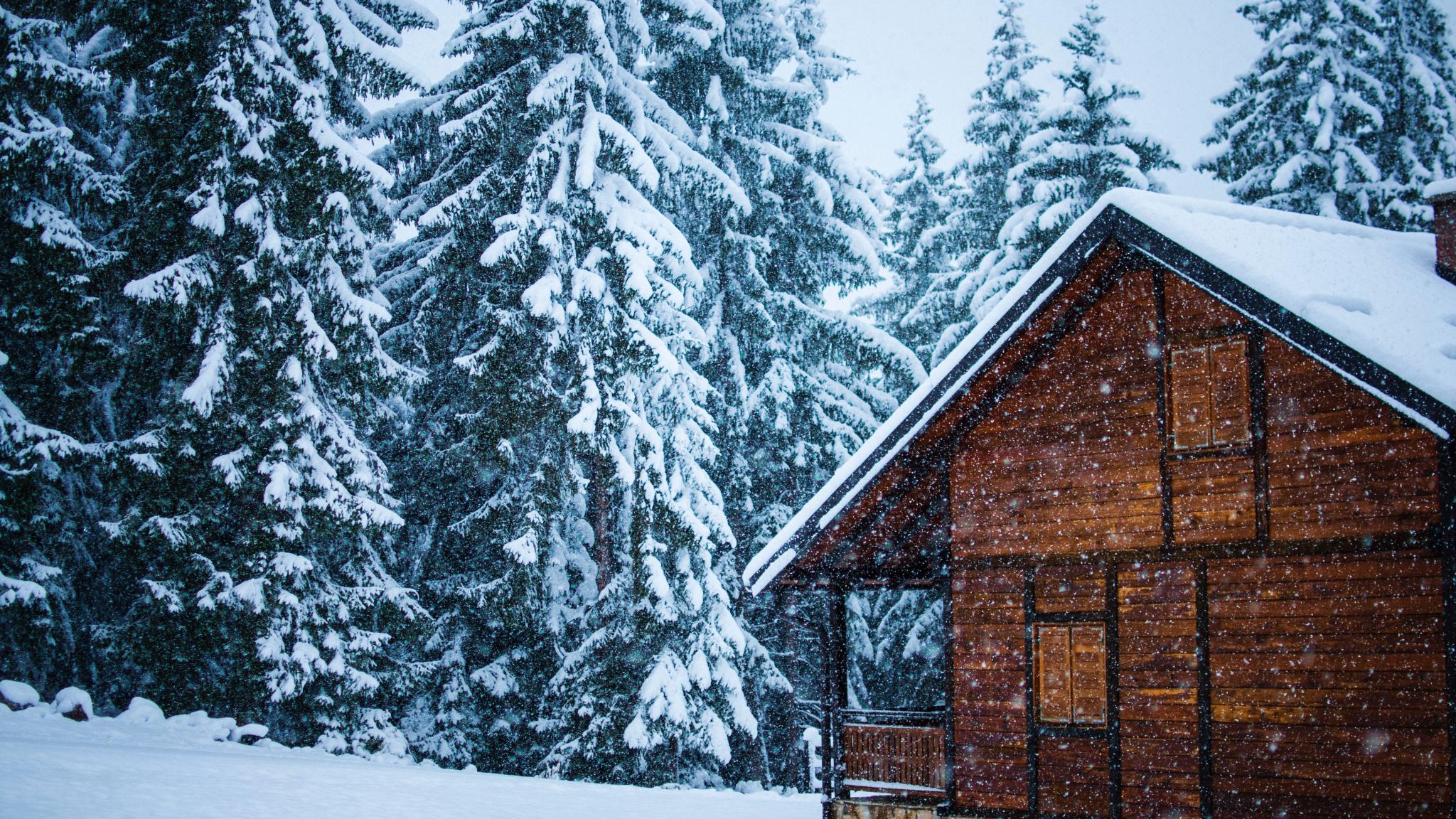 2048x1152 Download Snowfall, house, tree, snow layer, winter wallpaper, 2048x Dual Wide, Widescreen