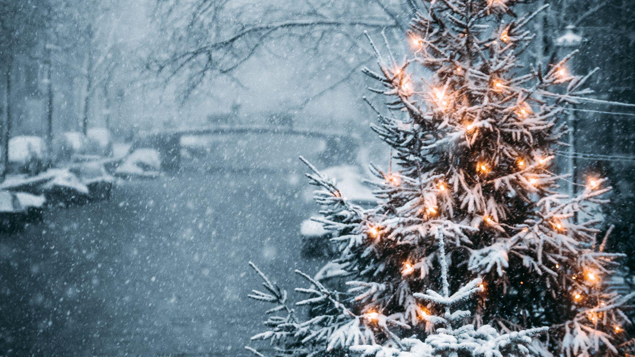 2048x1152 Download wallpaper 2048x1152 tree, garland, snow, winter, new year ultrawide monitor HD background