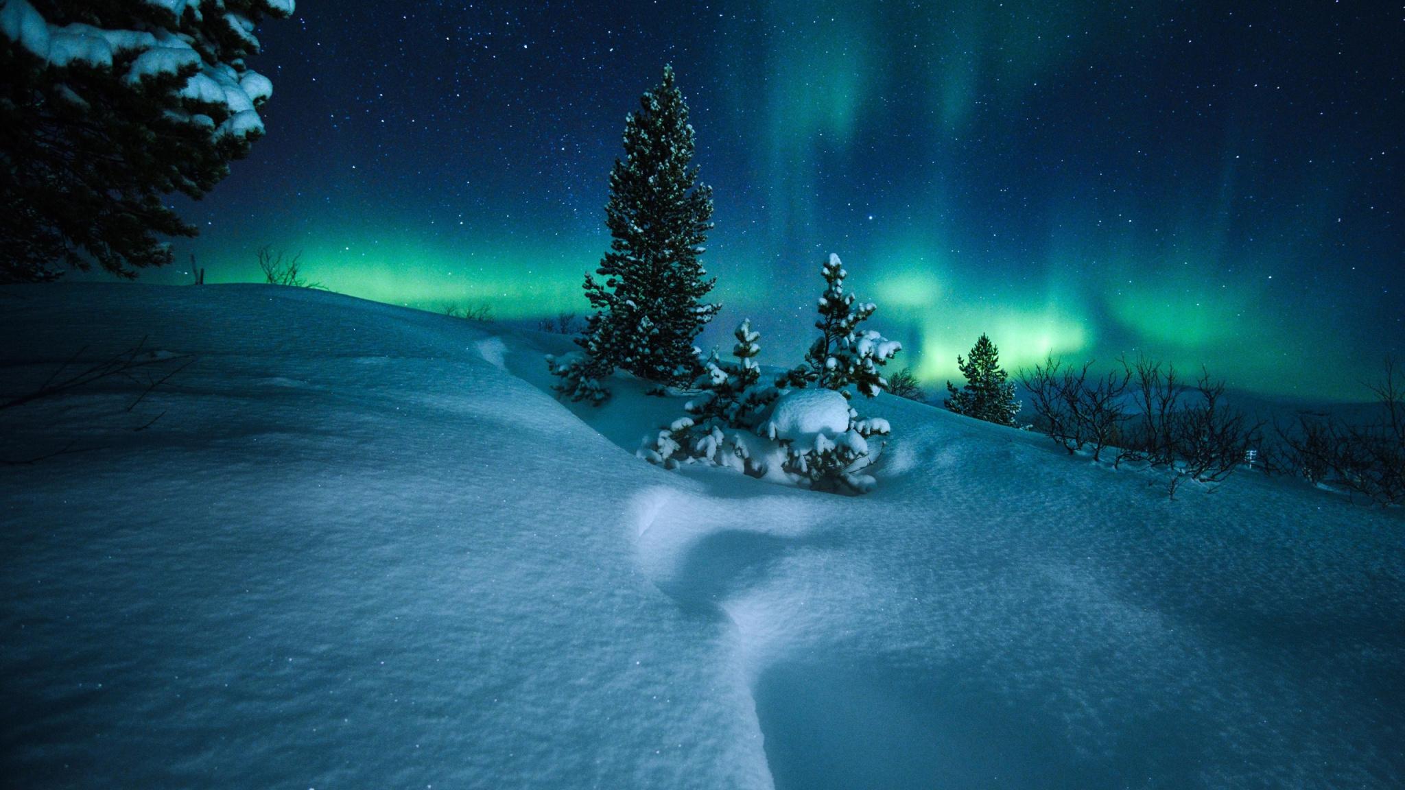 2048x1152 Download Winter, snowfall, Northern Lights wallpaper, 2048x Dual Wide, Widescreen
