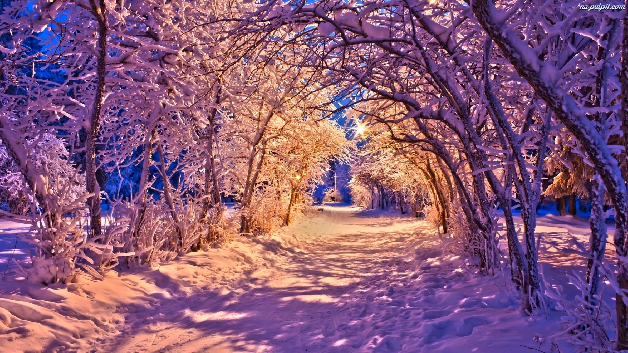 2048x1152 Download wallpaper winter, road, forest, snow, trees, landscape, nature, lights, lights, Park, lights, white, forest, road, trees, bench, section nature in resolution 2048x1152