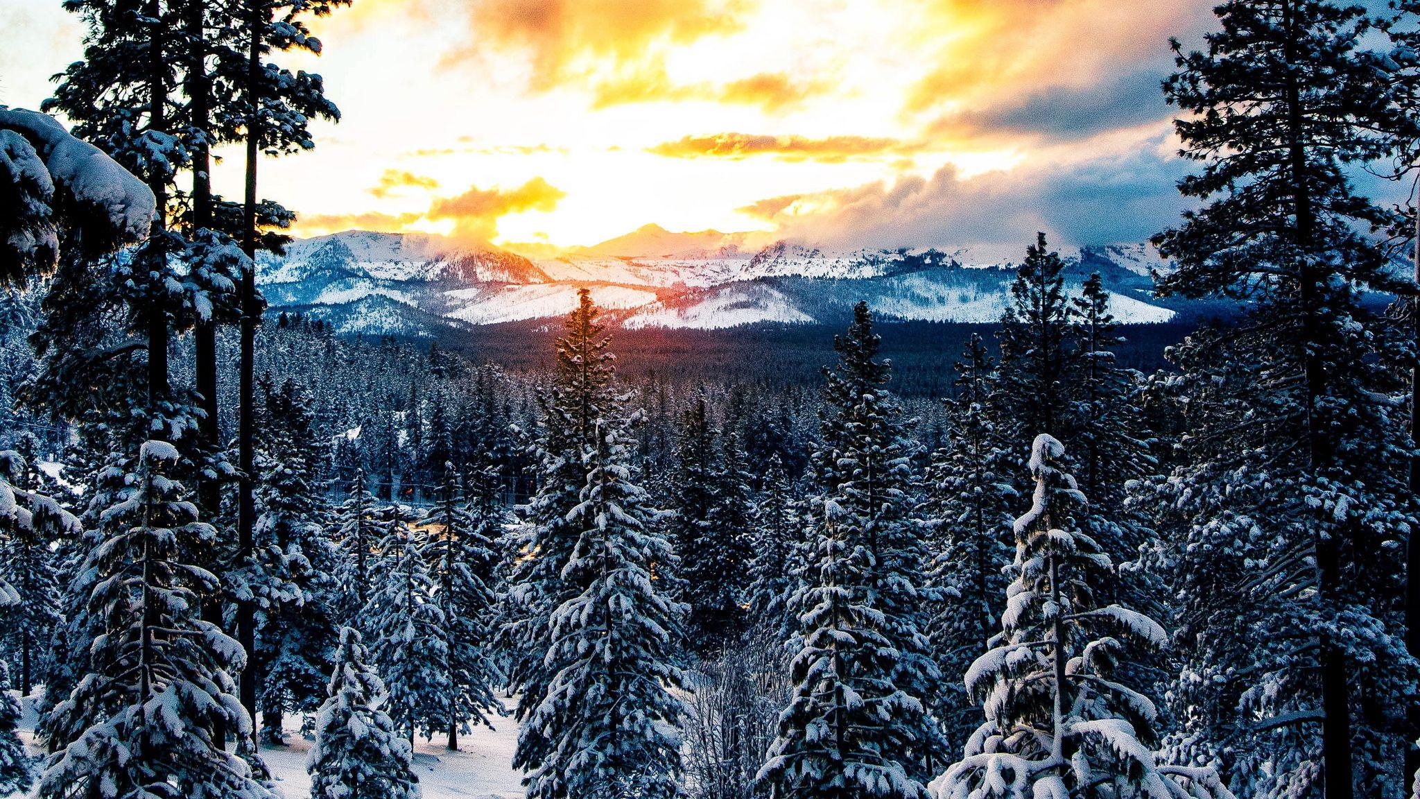 2048x1152 Winter Forest Wallpaper and HD Background free download on PicGaGa